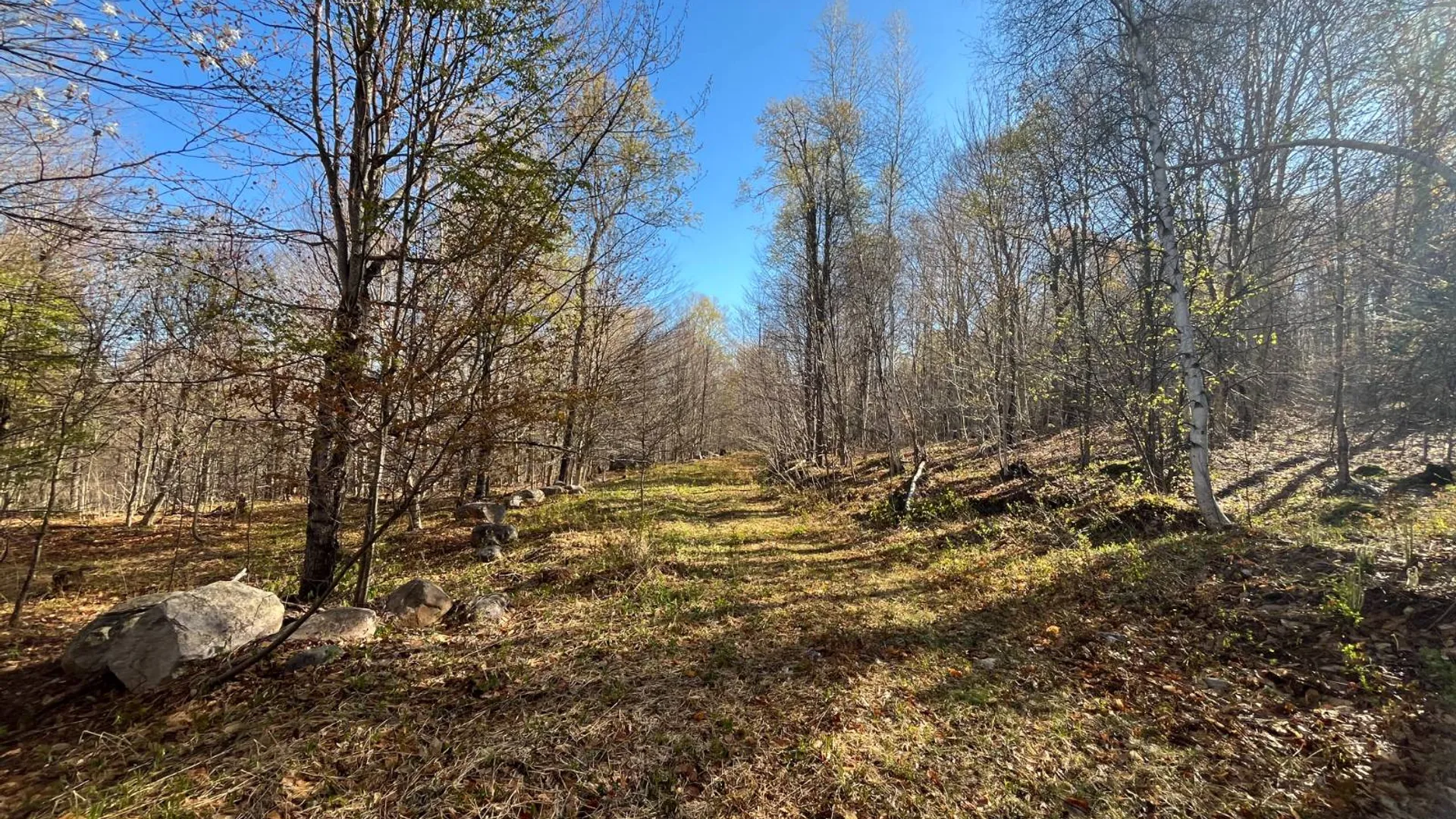 Property at 00 Coffin Mills Rd, Oswegatchie, NY 13670 14