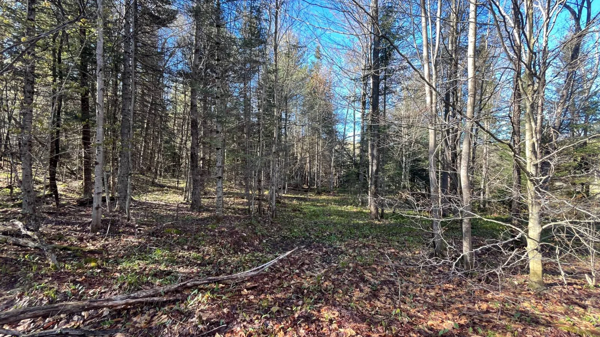 Property at 00 Coffin Mills Rd, Oswegatchie, NY 13670 15