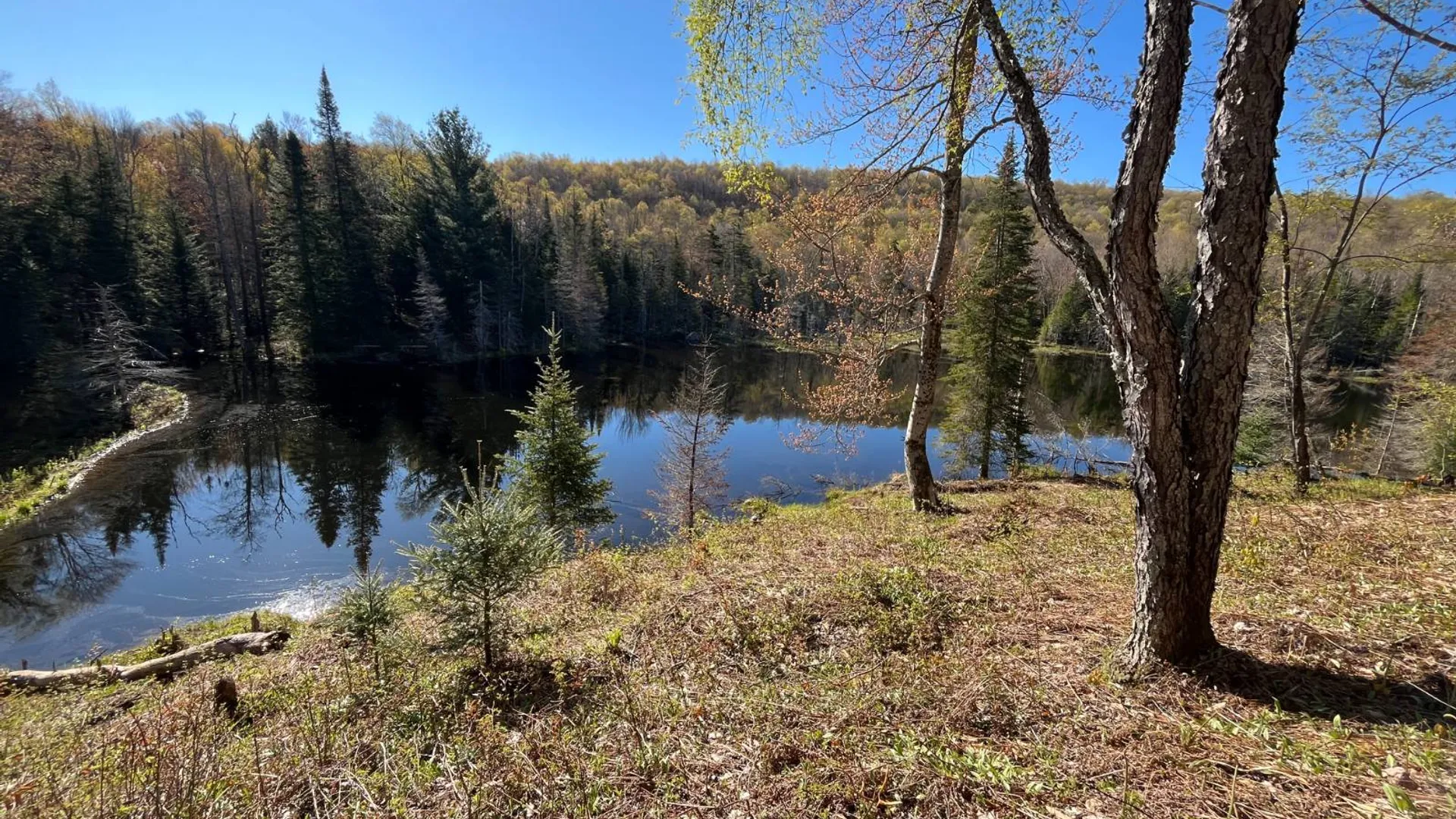 Property at 00 Coffin Mills Rd, Oswegatchie, NY 13670 16
