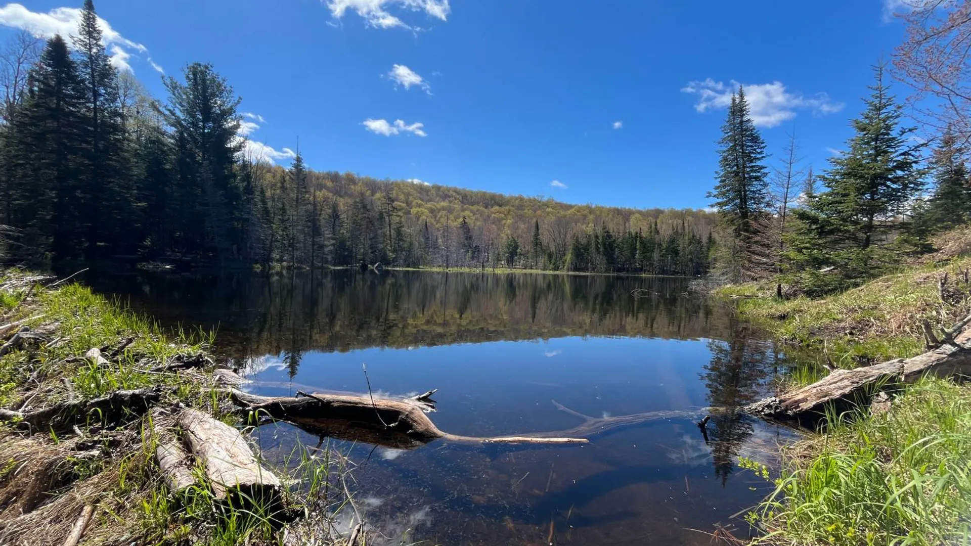 Property at 00 Coffin Mills Rd, Oswegatchie, NY 13670 17