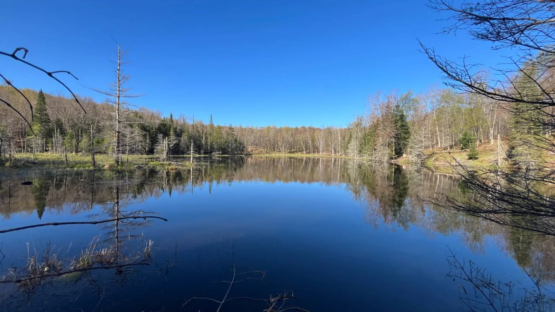 Property at 00 Coffin Mills Rd, Oswegatchie, NY 13670 18