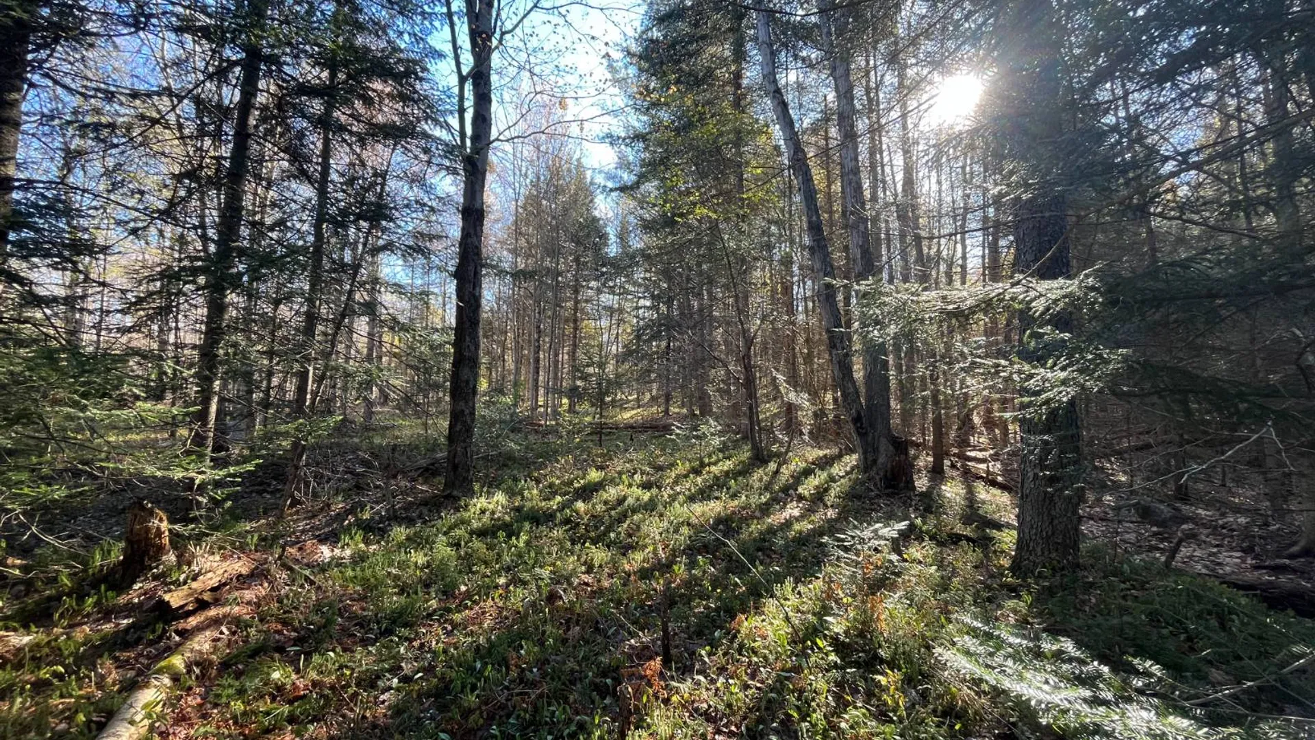 Property at 00 Coffin Mills Rd, Oswegatchie, NY 13670 19