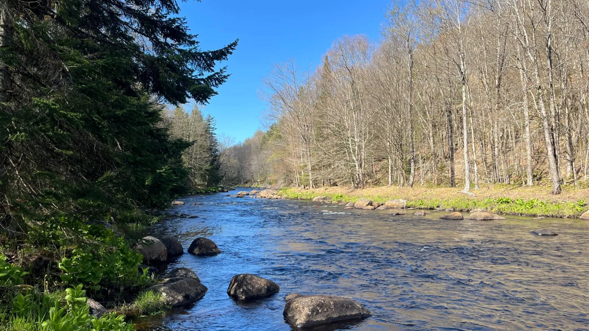 Property at 00 Coffin Mills Rd, Oswegatchie, NY 13670 2