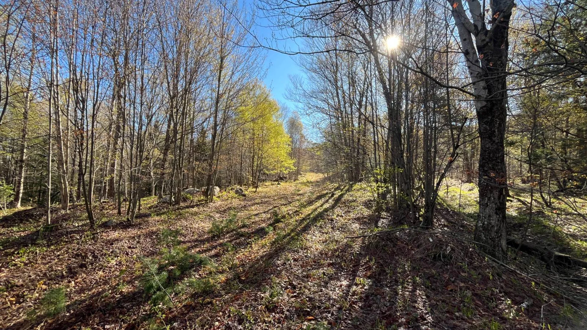 Property at 00 Coffin Mills Rd, Oswegatchie, NY 13670 20