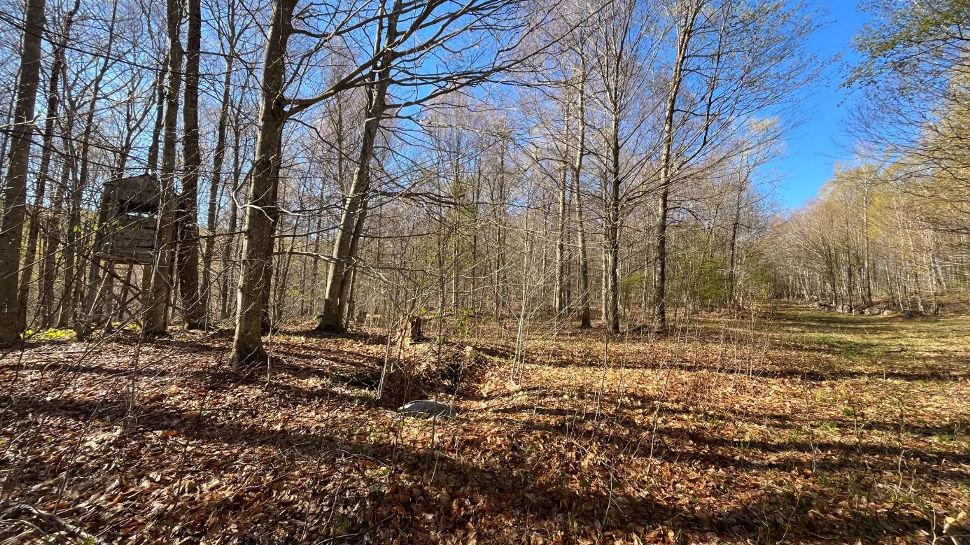 Property at 00 Coffin Mills Rd, Oswegatchie, NY 13670 21