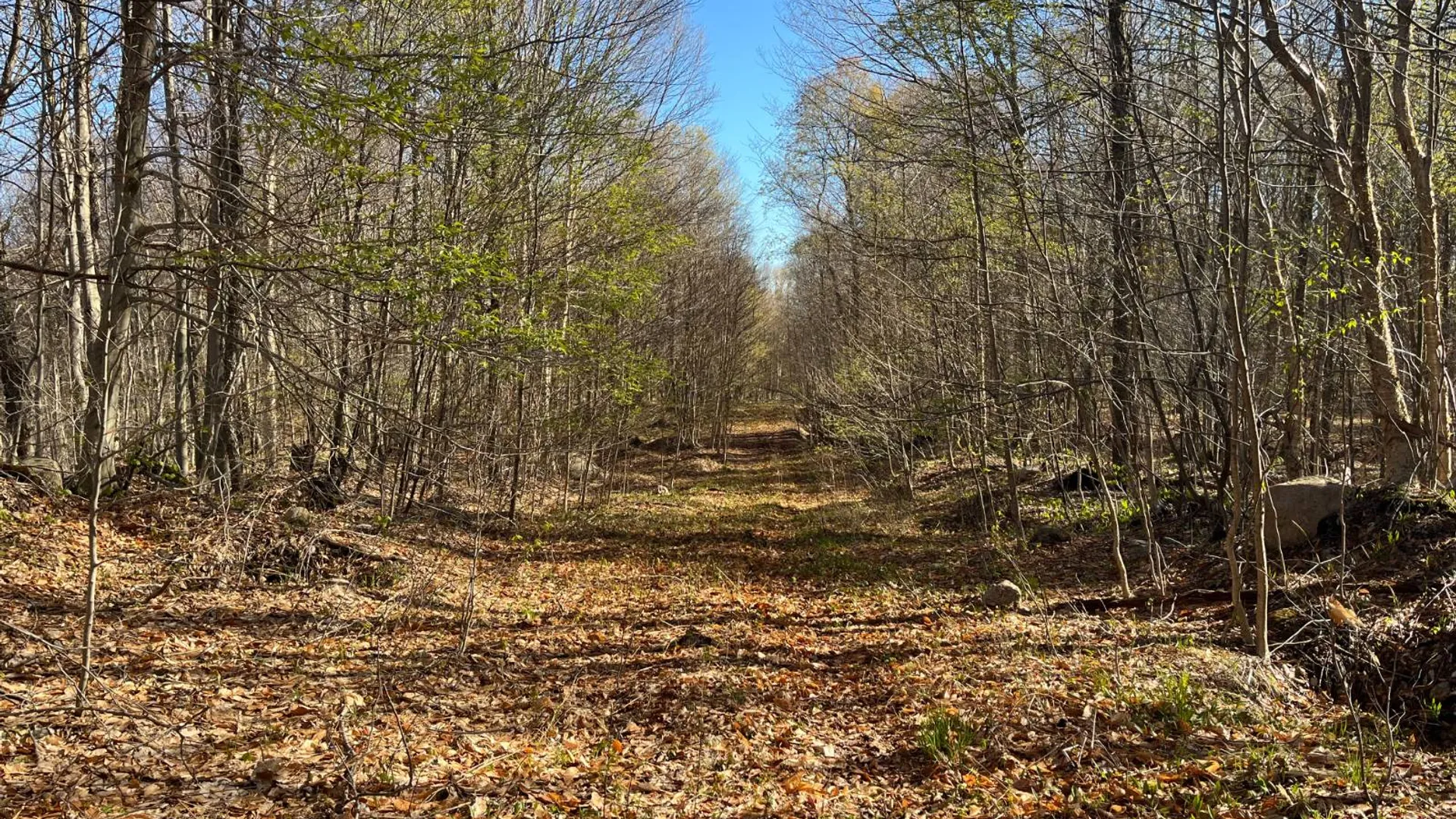 Property at 00 Coffin Mills Rd, Oswegatchie, NY 13670 22