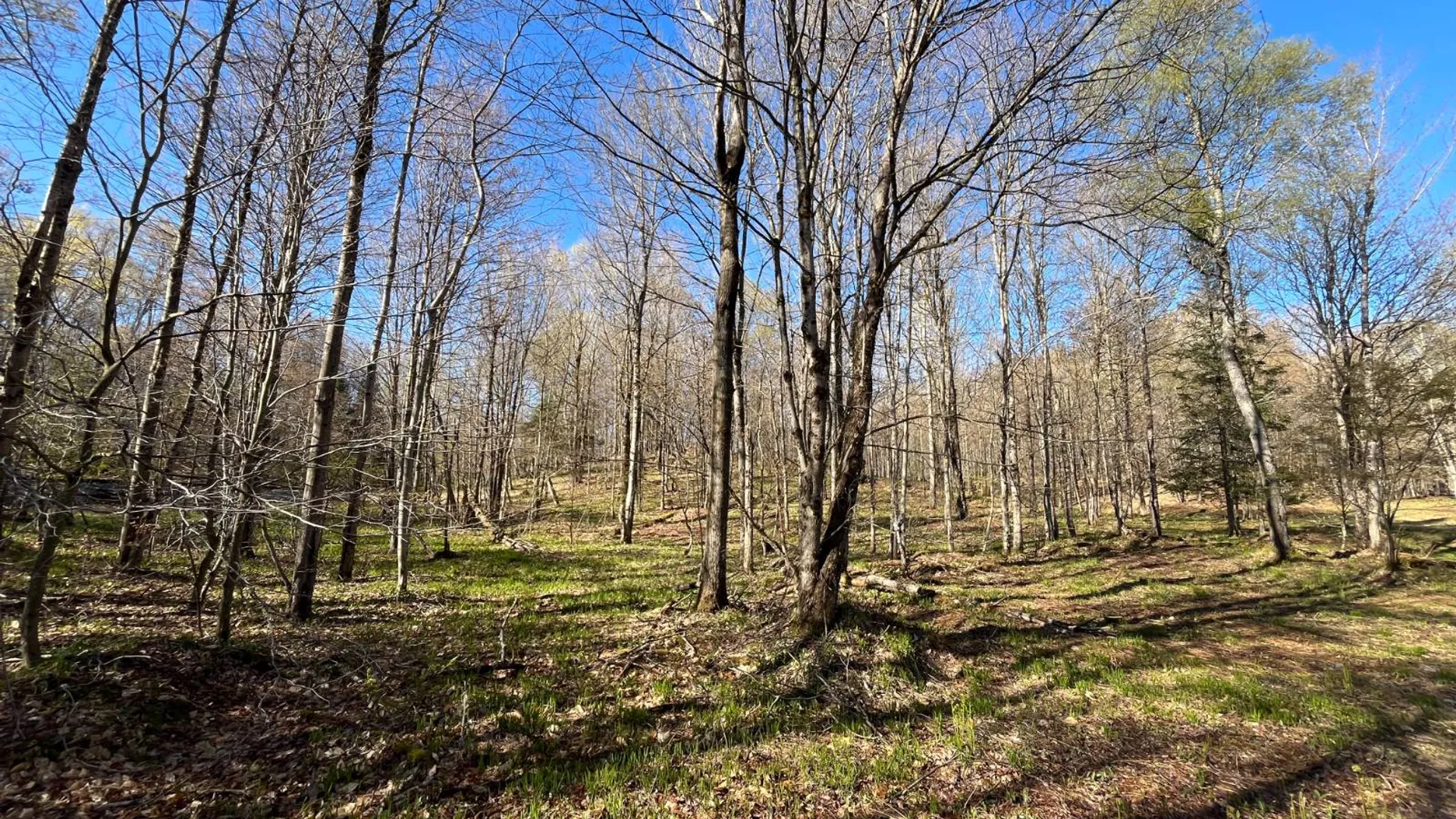 Property at 00 Coffin Mills Rd, Oswegatchie, NY 13670 23