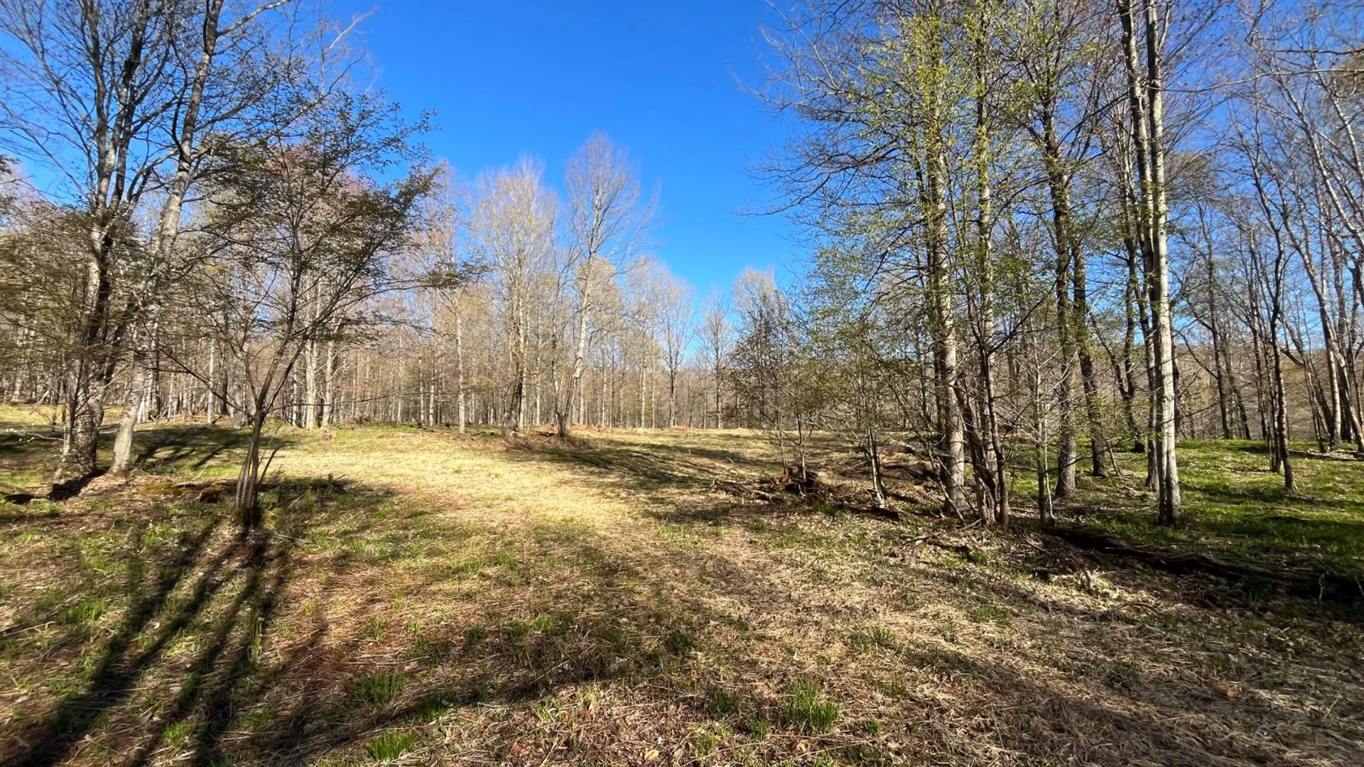 Property at 00 Coffin Mills Rd, Oswegatchie, NY 13670 24