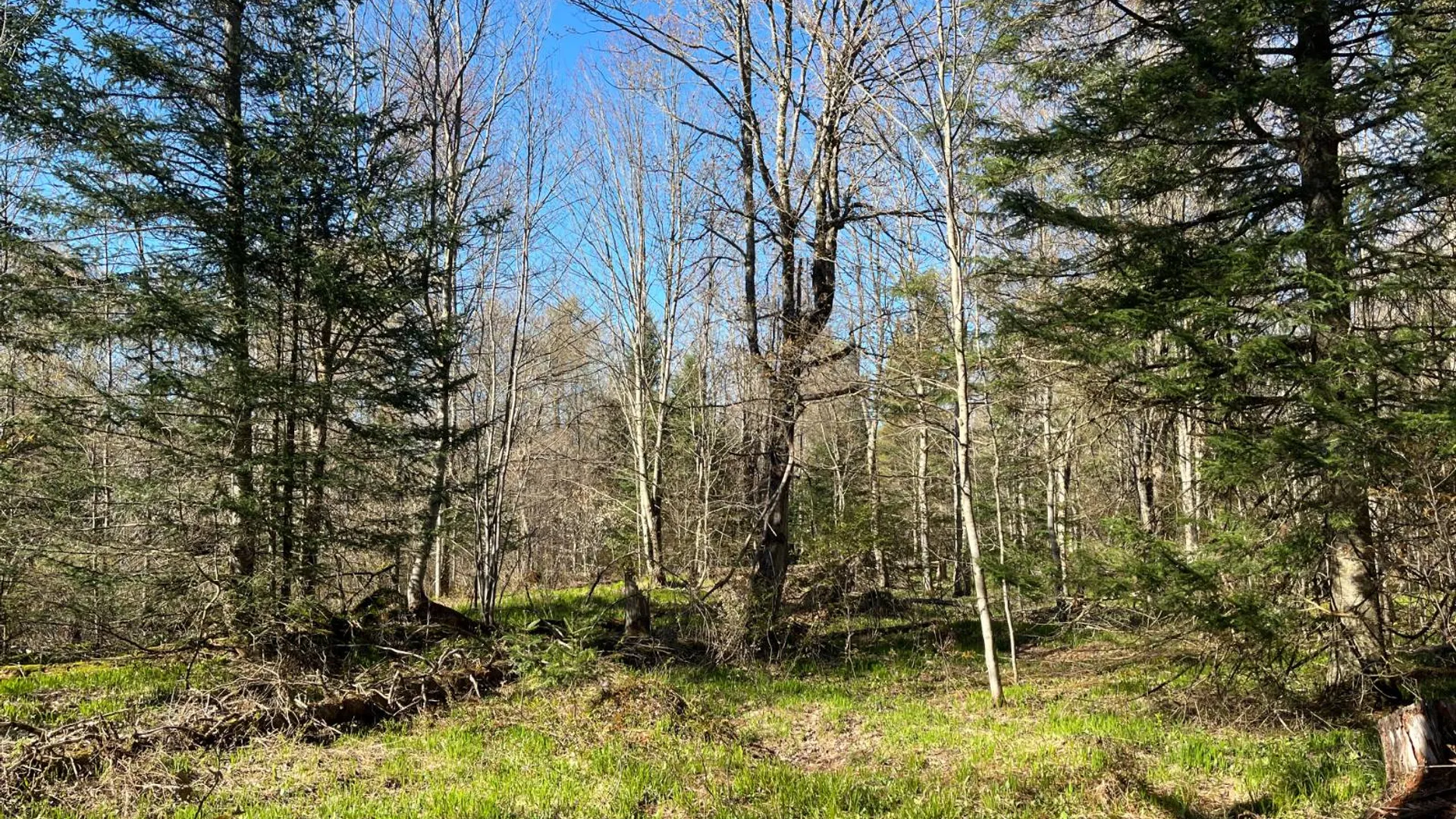 Property at 00 Coffin Mills Rd, Oswegatchie, NY 13670 26