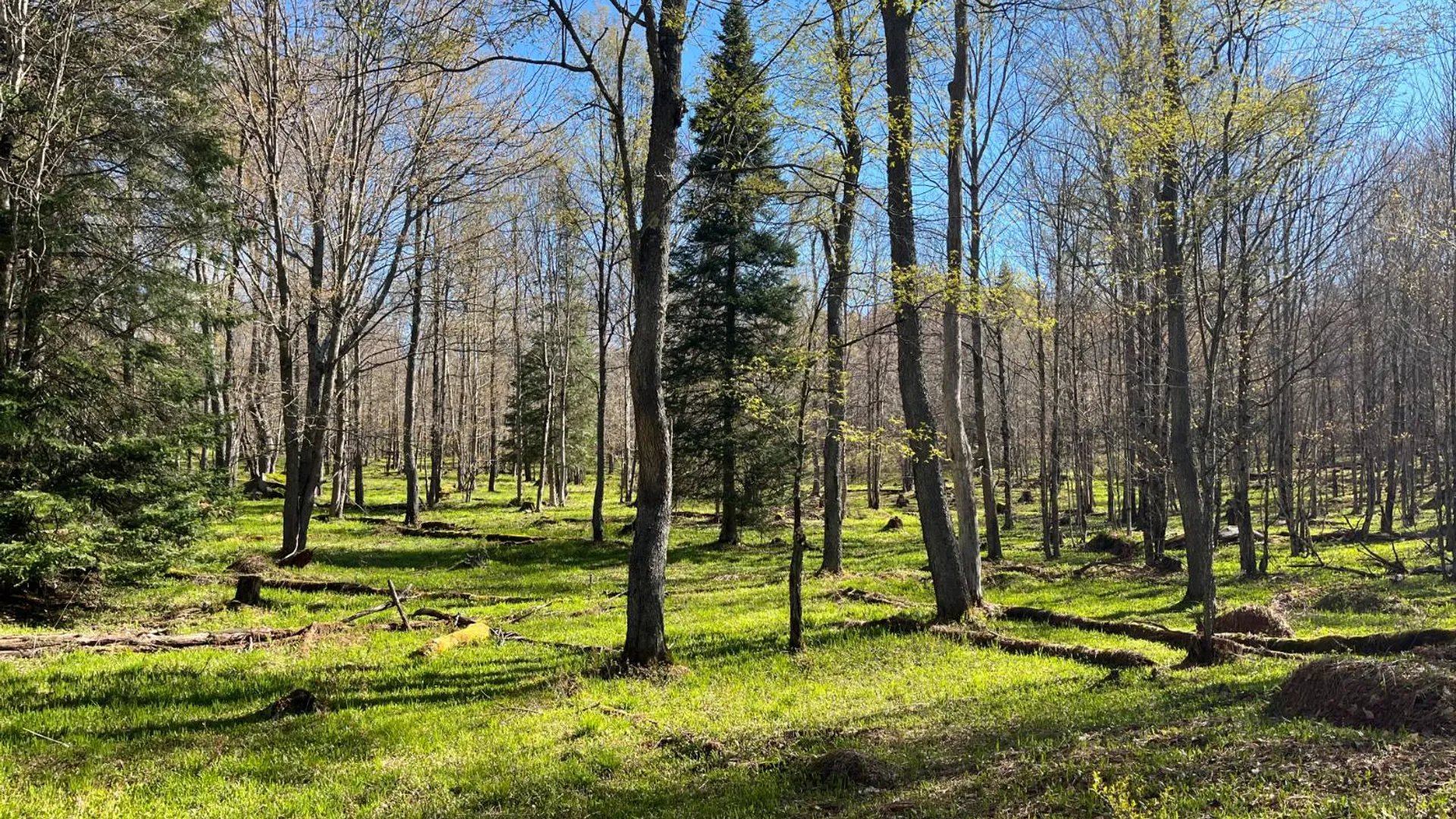 Property at 00 Coffin Mills Rd, Oswegatchie, NY 13670 28