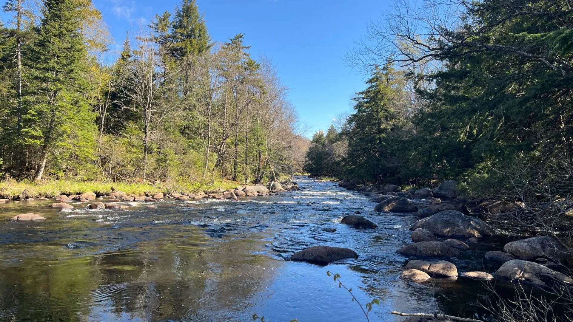 Property at 00 Coffin Mills Rd, Oswegatchie, NY 13670 29