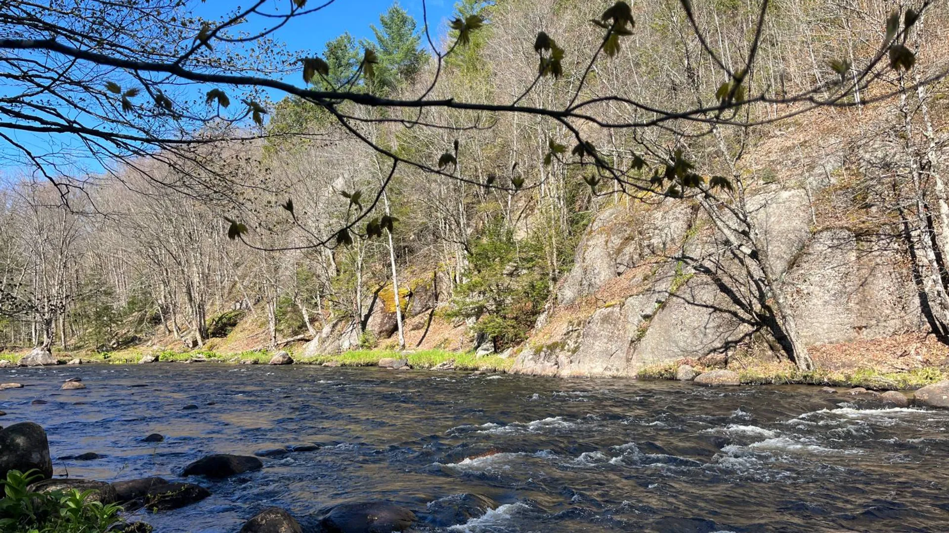 Property at 00 Coffin Mills Rd, Oswegatchie, NY 13670 3