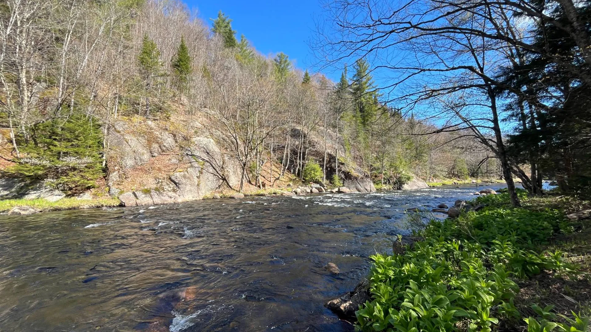 Property at 00 Coffin Mills Rd, Oswegatchie, NY 13670 30
