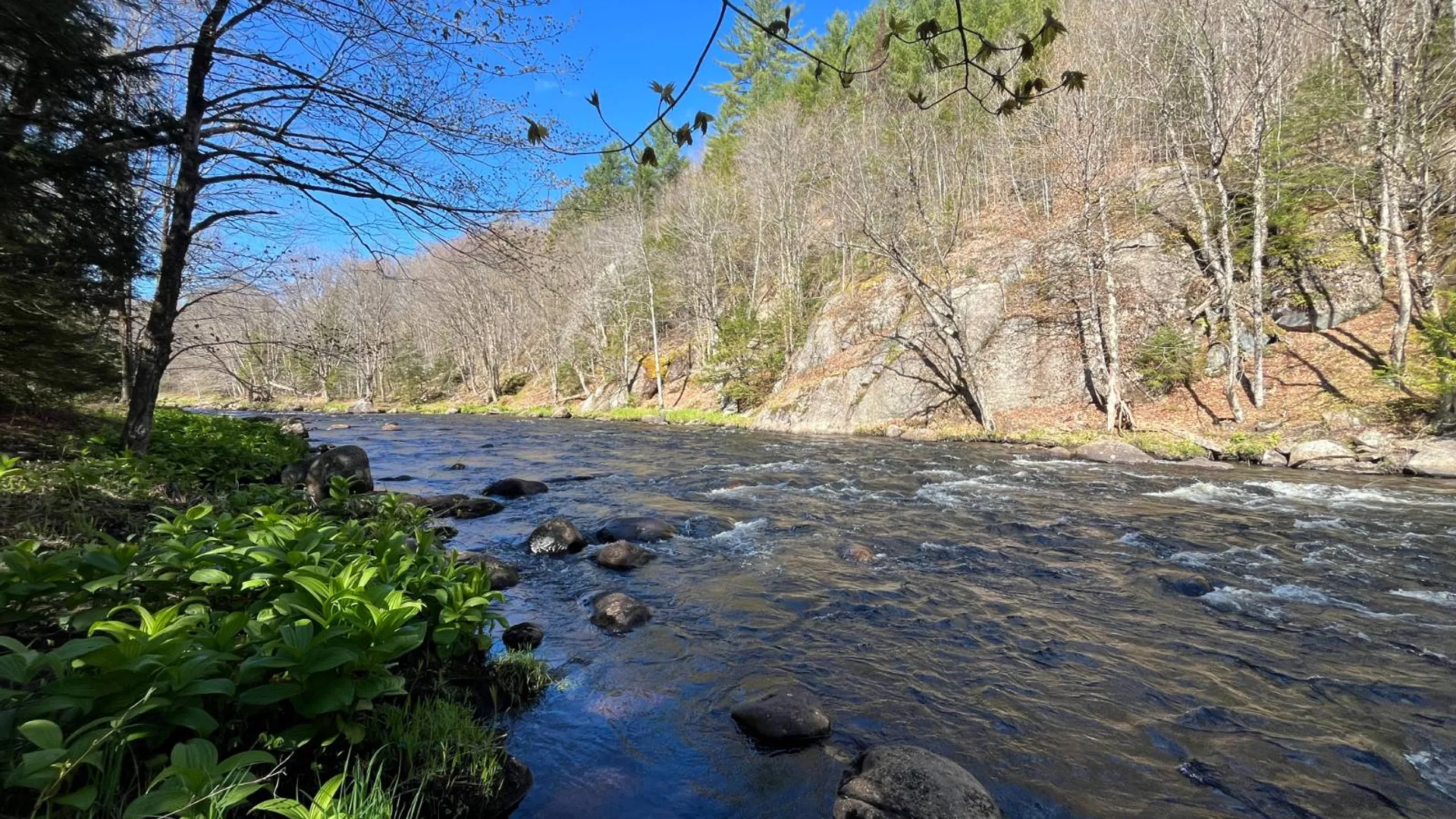 Property at 00 Coffin Mills Rd, Oswegatchie, NY 13670 32