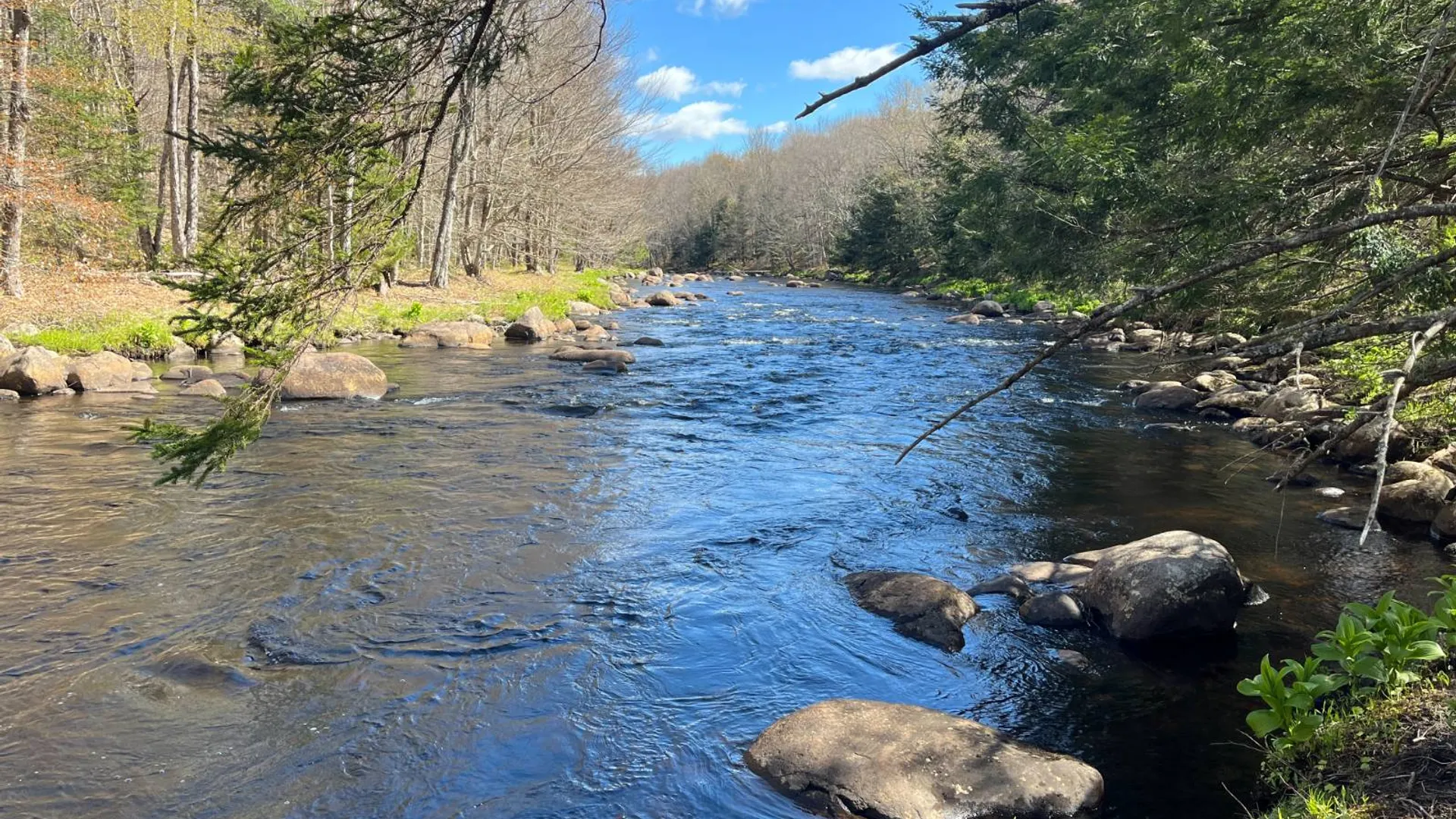 Property at 00 Coffin Mills Rd, Oswegatchie, NY 13670 34