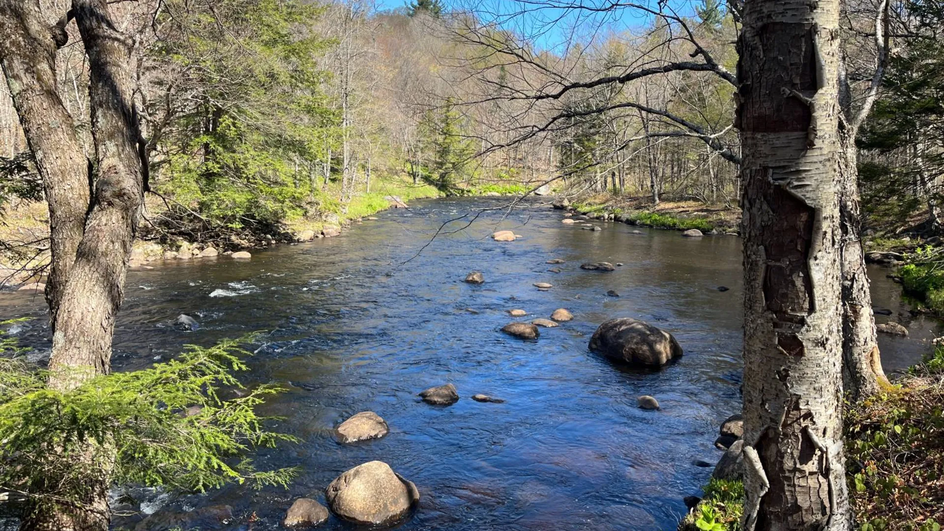 Property at 00 Coffin Mills Rd, Oswegatchie, NY 13670 35