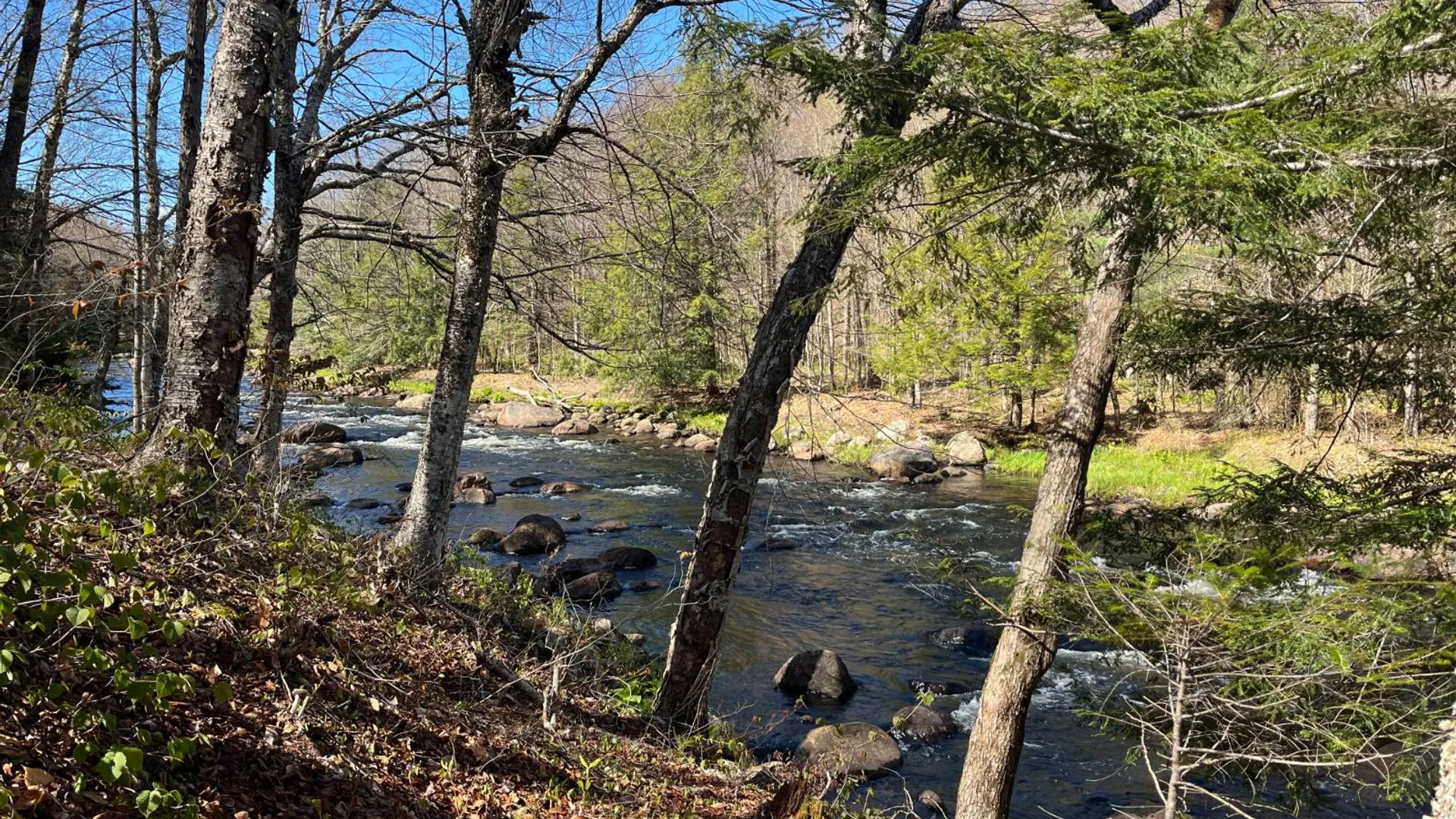 Property at 00 Coffin Mills Rd, Oswegatchie, NY 13670 36