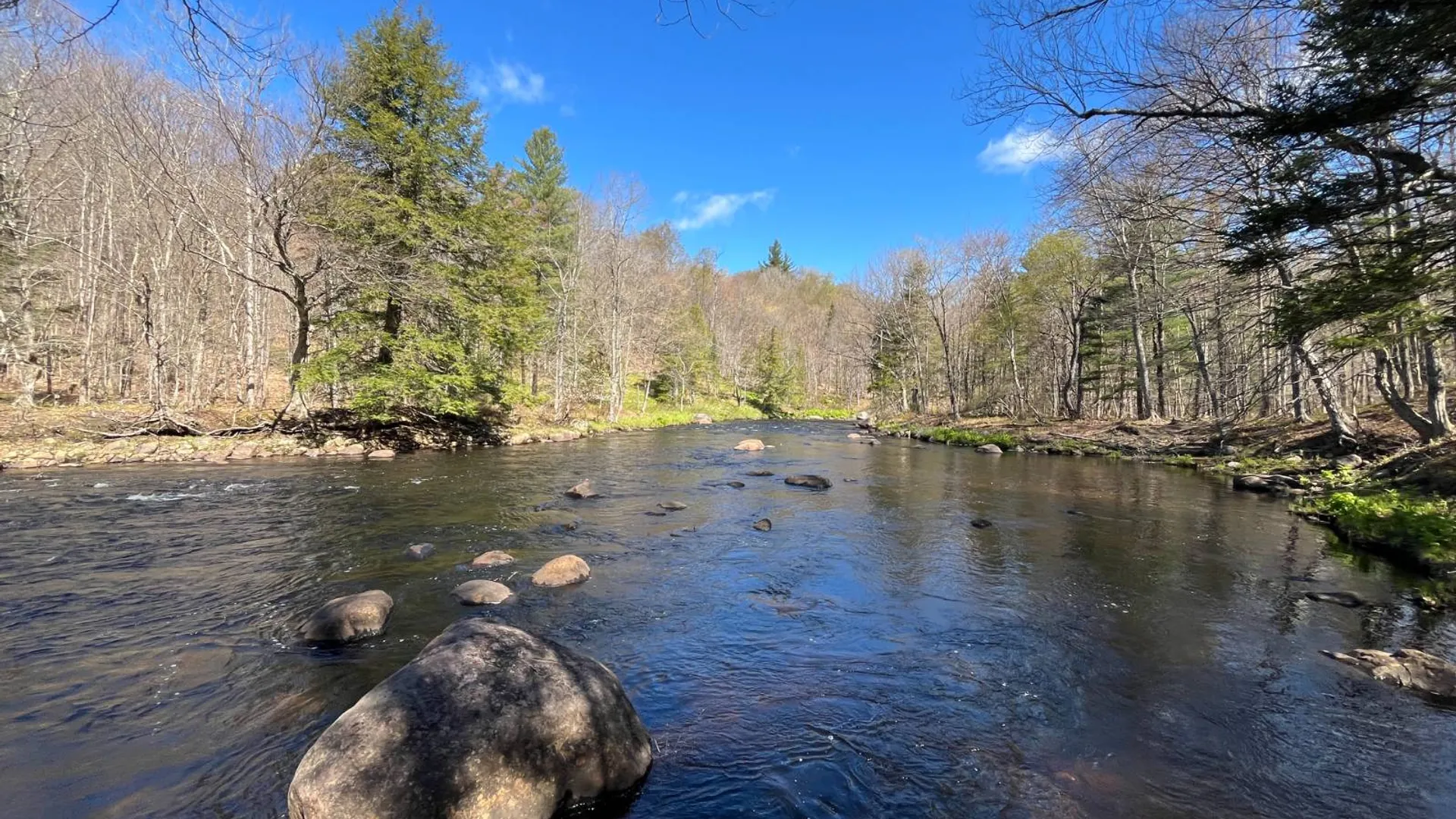 Property at 00 Coffin Mills Rd, Oswegatchie, NY 13670 37