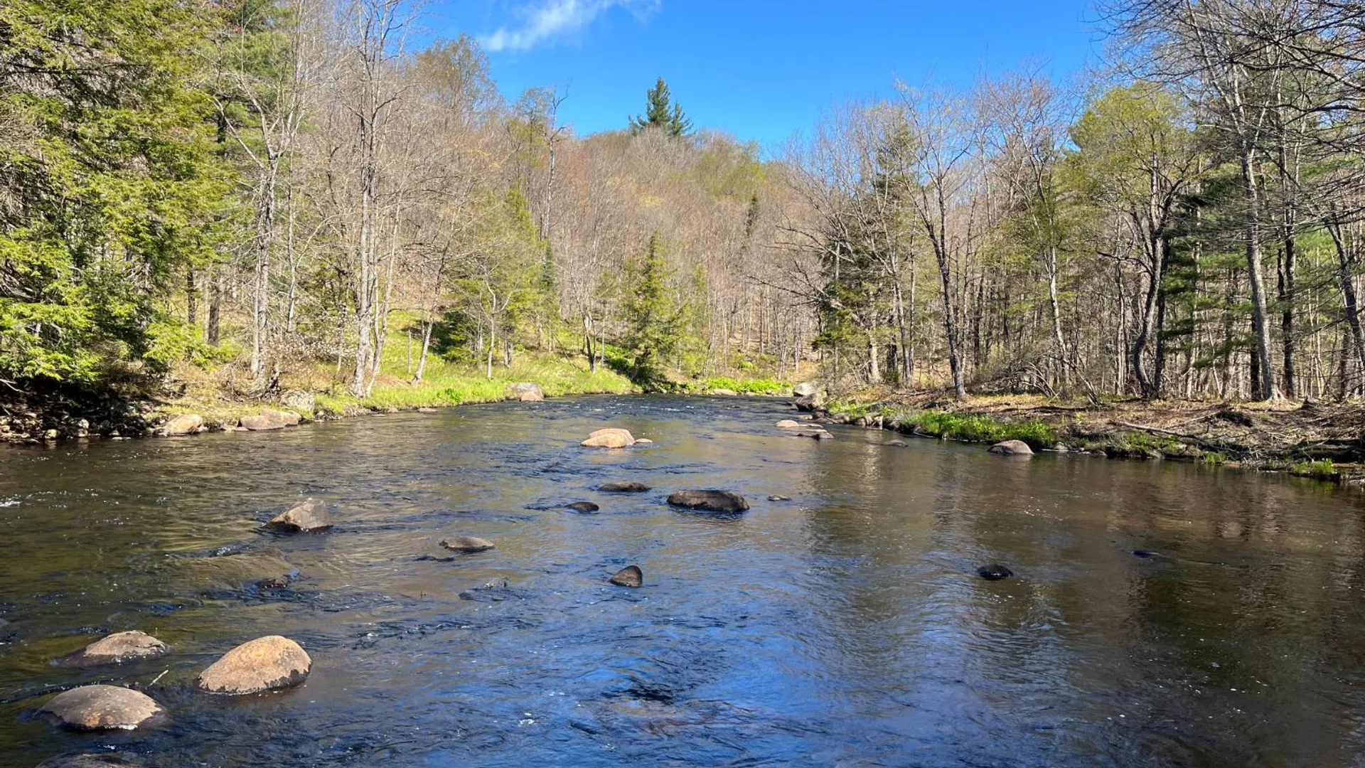 Property at 00 Coffin Mills Rd, Oswegatchie, NY 13670 38