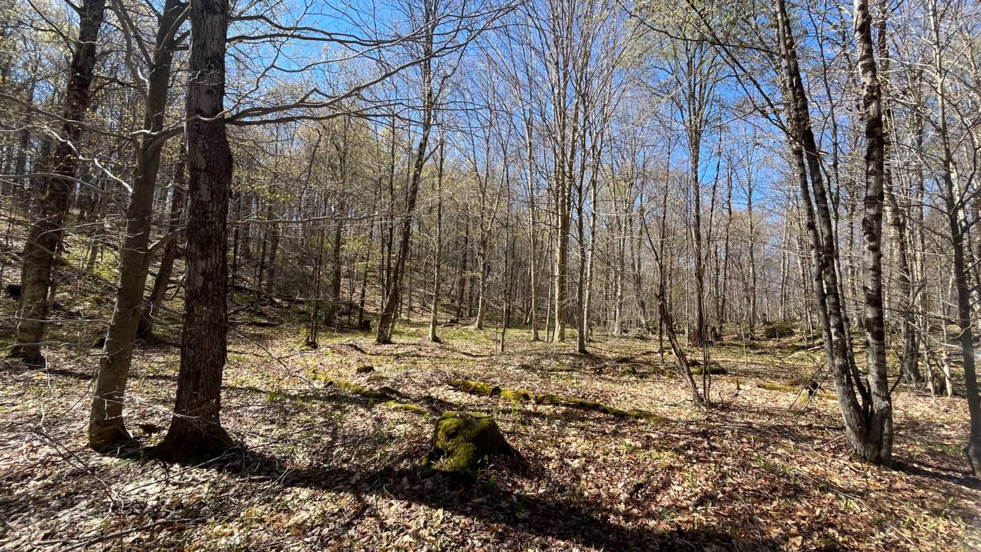 Property at 00 Coffin Mills Rd, Oswegatchie, NY 13670 39