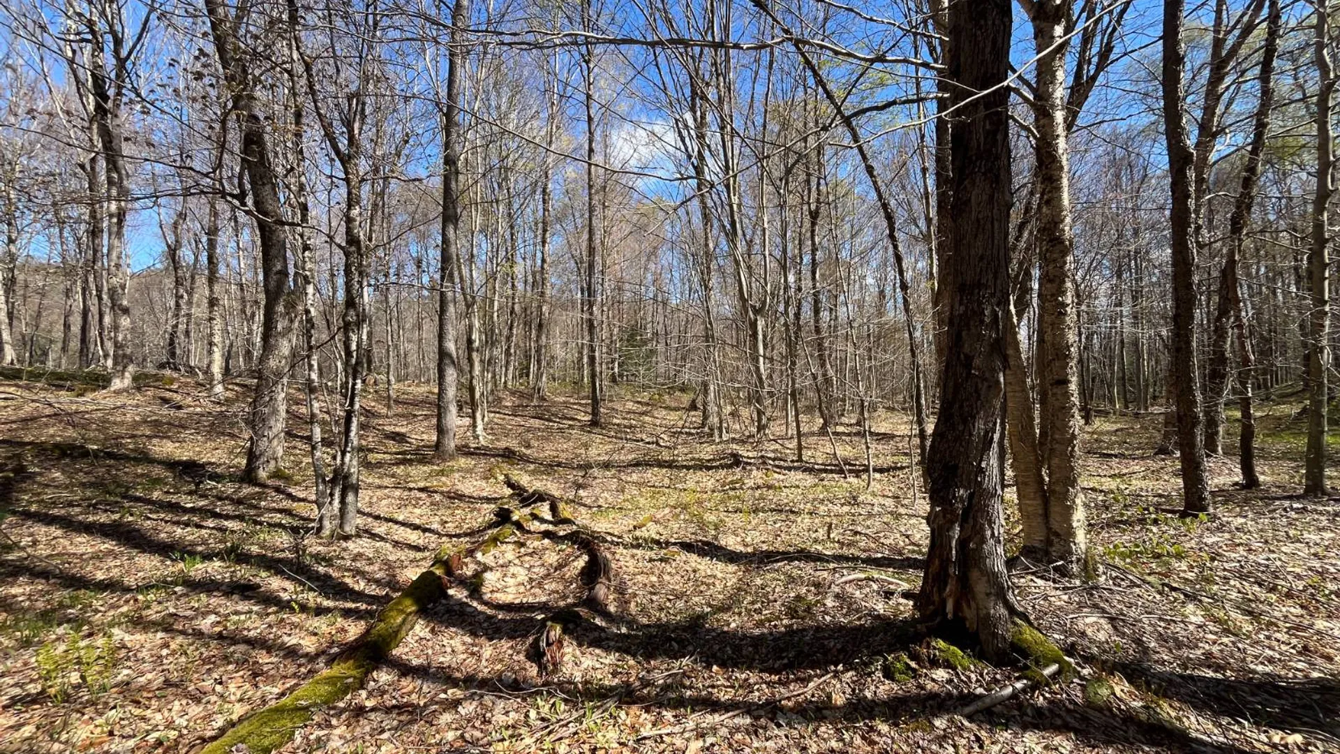 Property at 00 Coffin Mills Rd, Oswegatchie, NY 13670 40