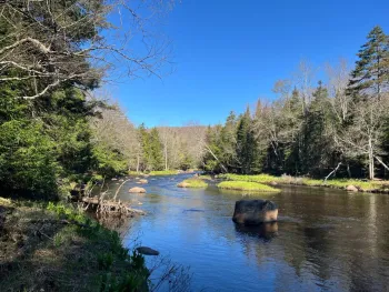 Property at 00 Coffin Mills Rd, Oswegatchie, NY 13670
