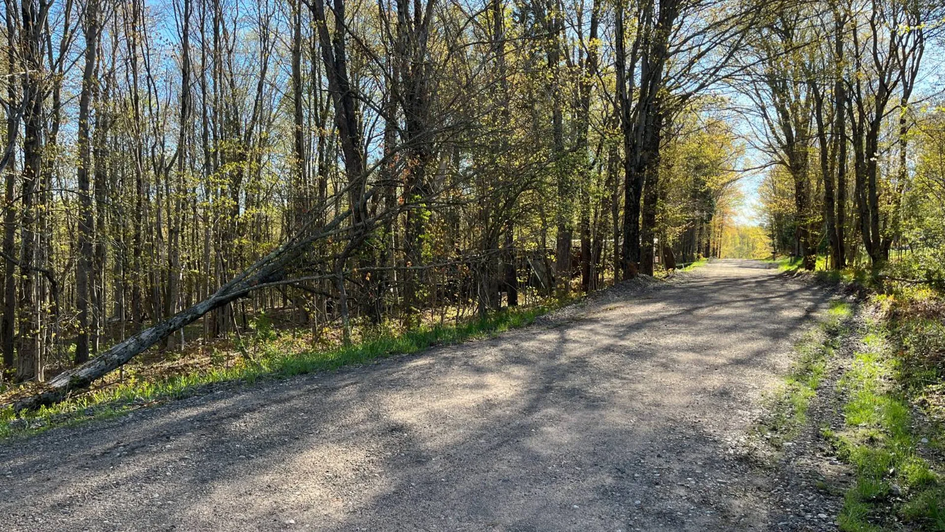 Property at 00 Coffin Mills Rd, Oswegatchie, NY 13670 44