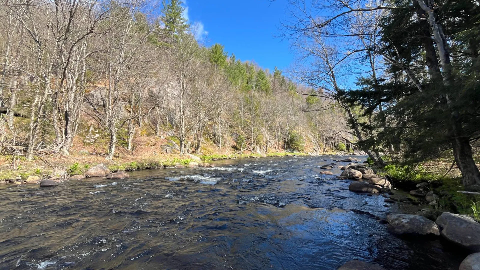 Property at 00 Coffin Mills Rd, Oswegatchie, NY 13670 5