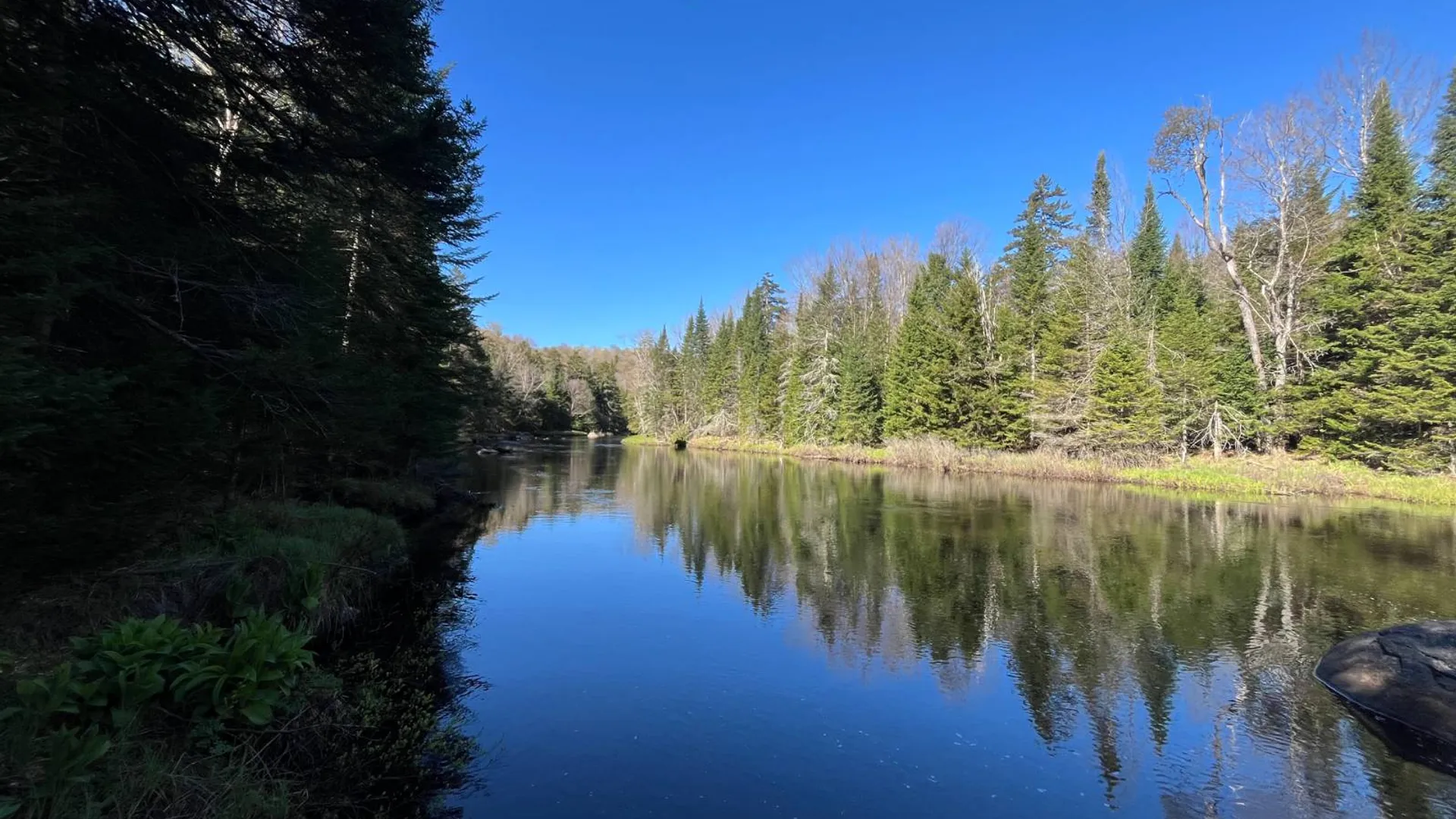 Property at 00 Coffin Mills Rd, Oswegatchie, NY 13670 6