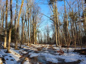 Property at 0 Parker Rd Rear, Hadley, NY 12822