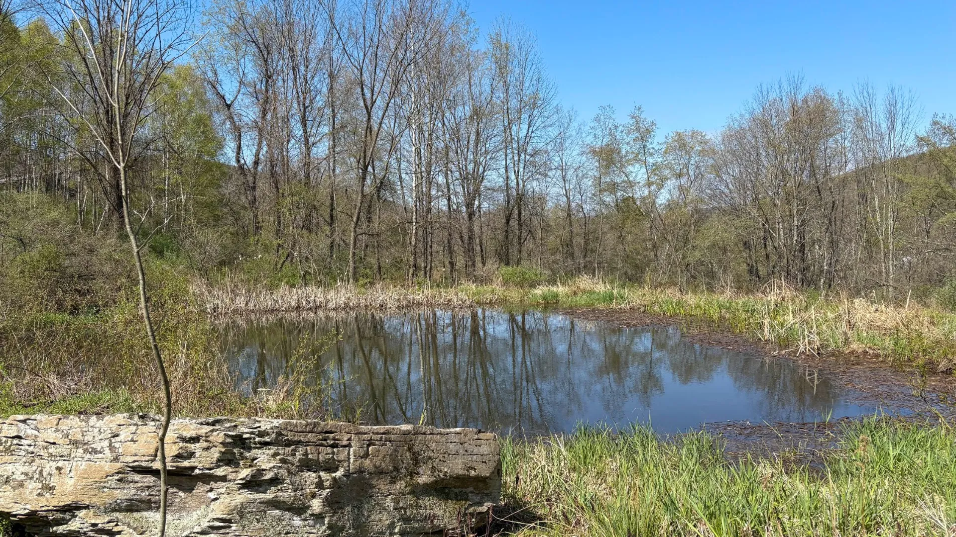 Property at 0 East River Rd, Walton, NY 13856 9