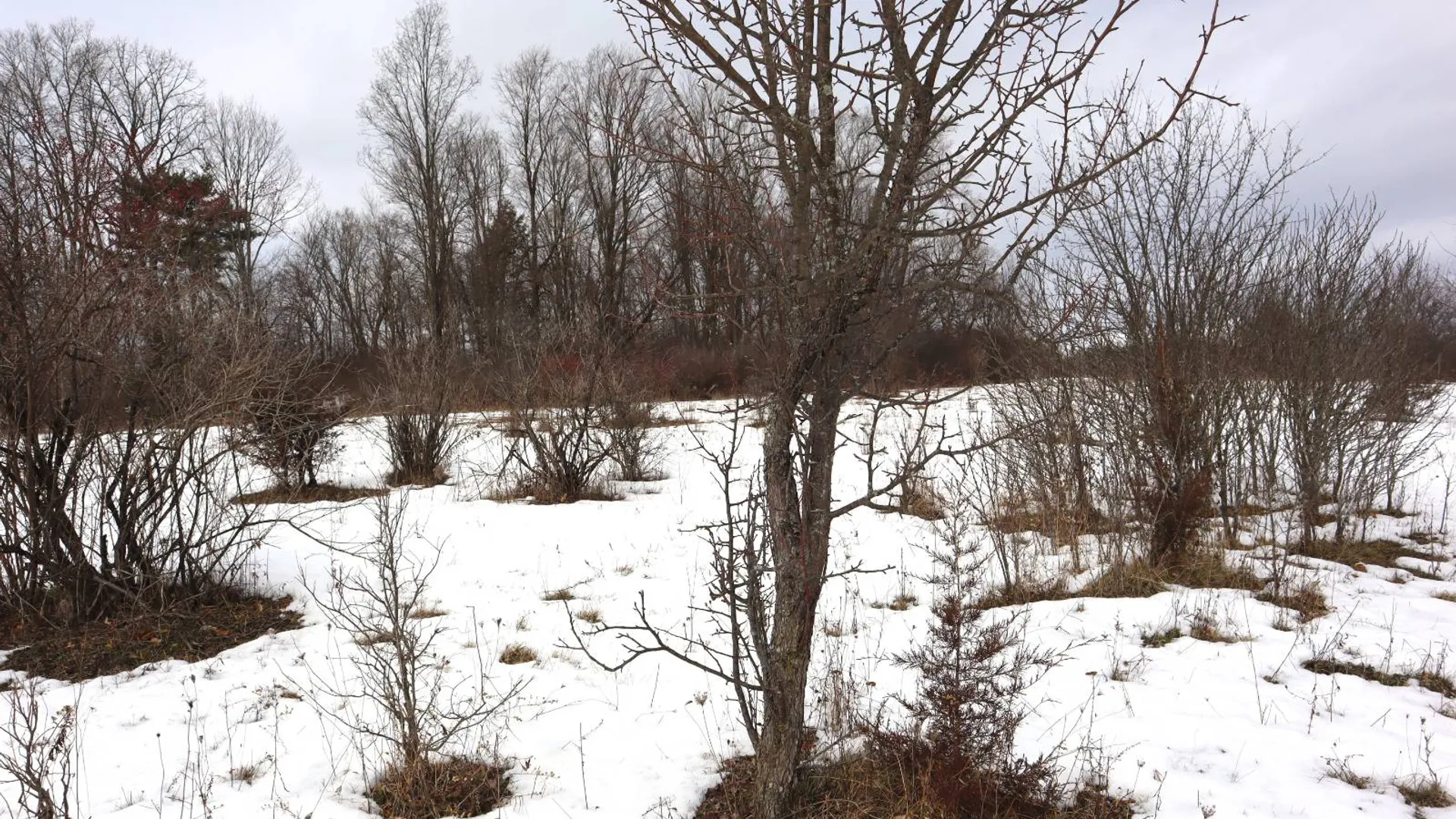 Property at 119 Abair Road, Whitehall, NY 12887 52