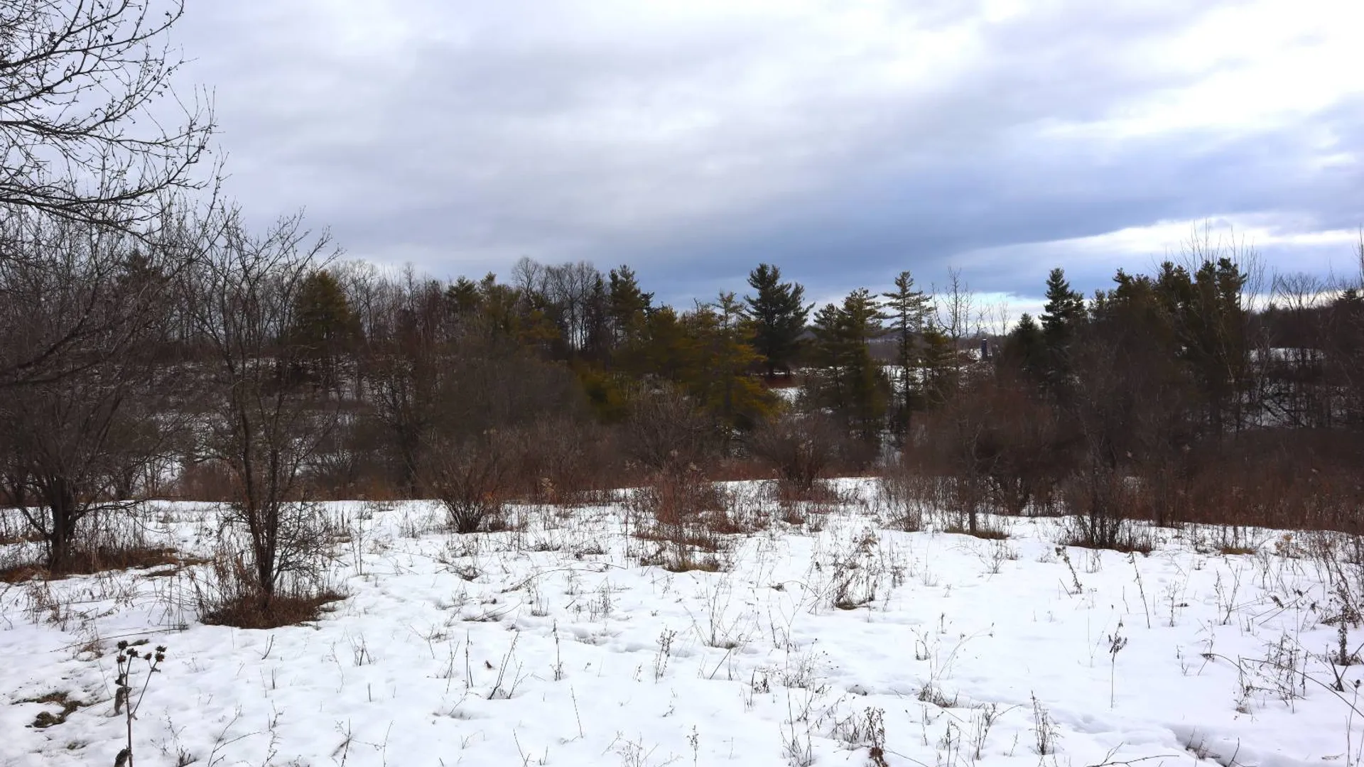 Property at 119 Abair Road, Whitehall, NY 12887 62