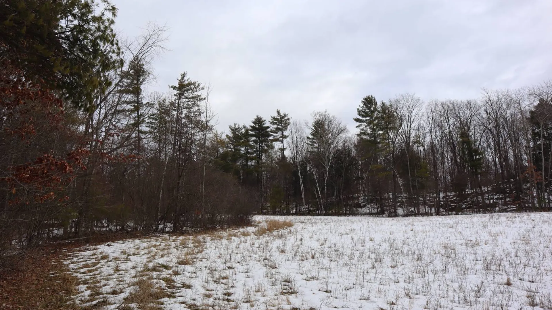 Property at 119 Abair Road, Whitehall, NY 12887 75