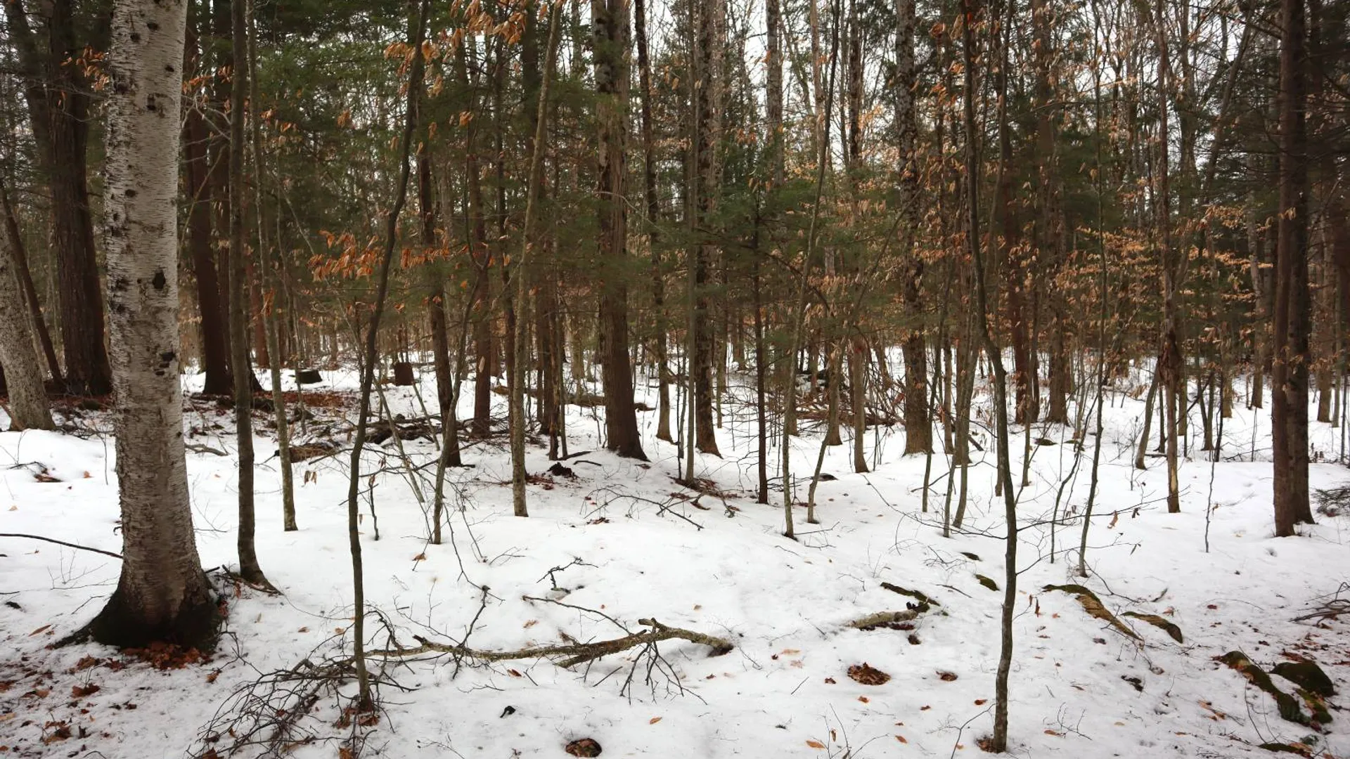 Property at 257 County Route 11, Whitehall, NY 12887 47