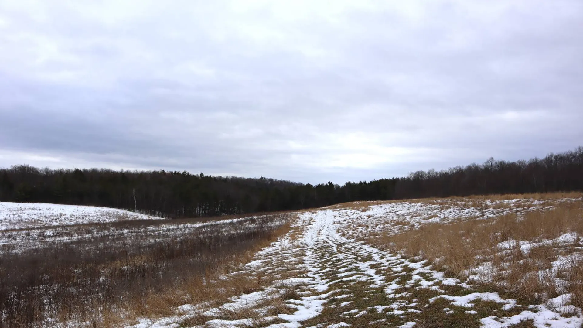 Property at 257 County Route 11, Whitehall, NY 12887 50
