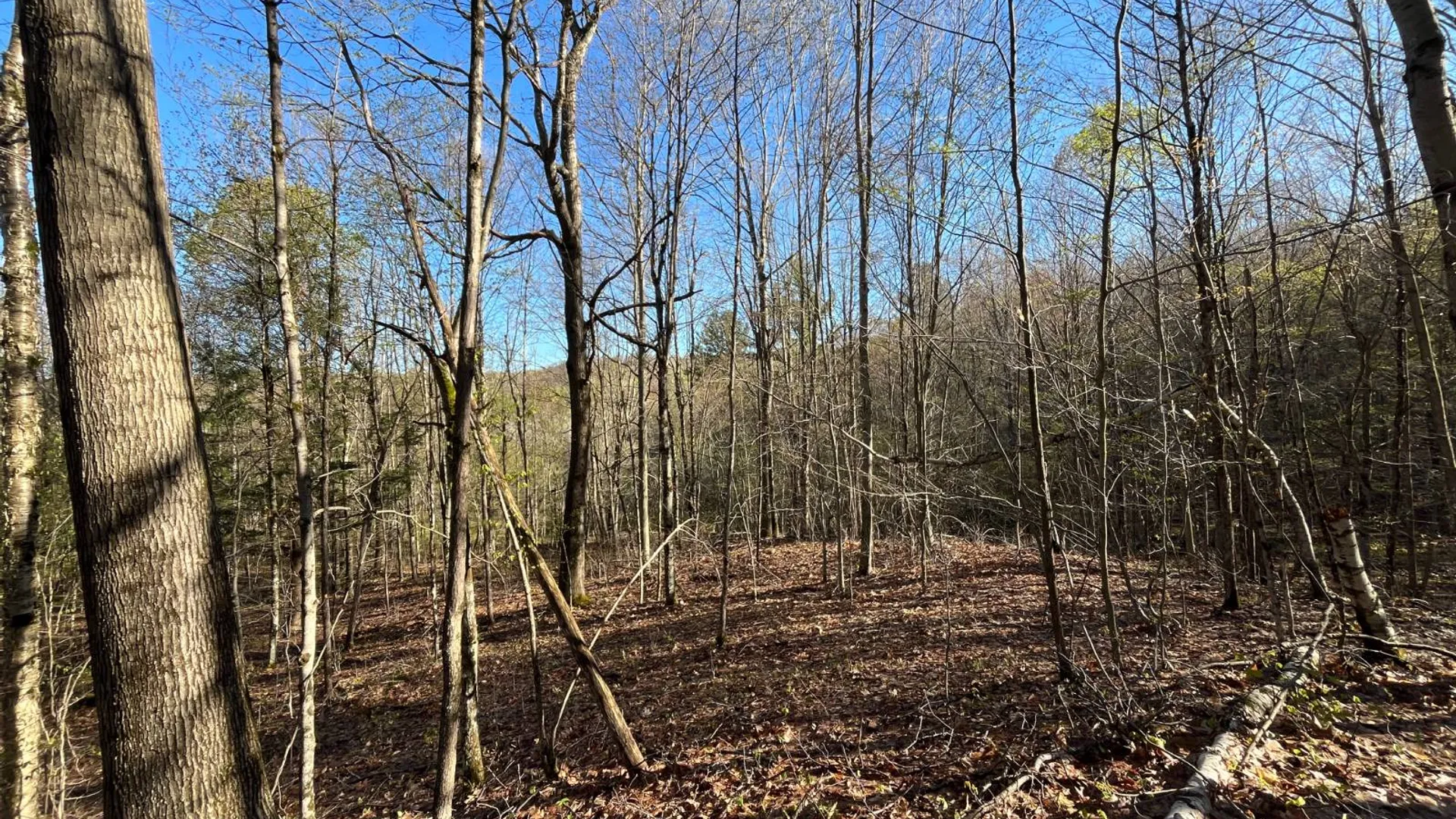 Property at 00 Lafaver Rd, Hermon, NY 13652 10
