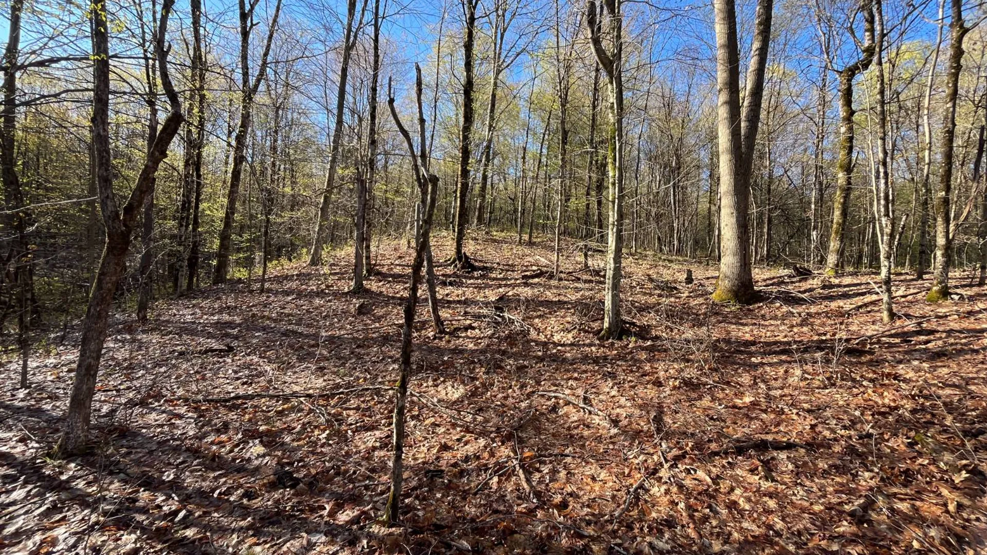 Property at 00 Lafaver Rd, Hermon, NY 13652 11