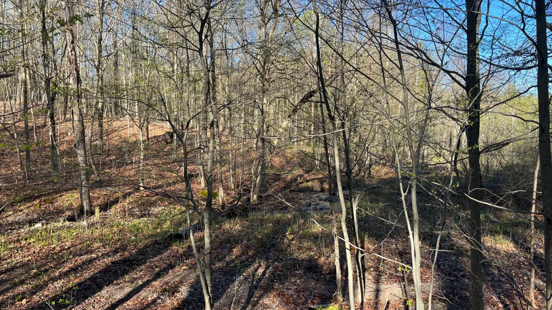 Property at 00 Lafaver Rd, Hermon, NY 13652 14