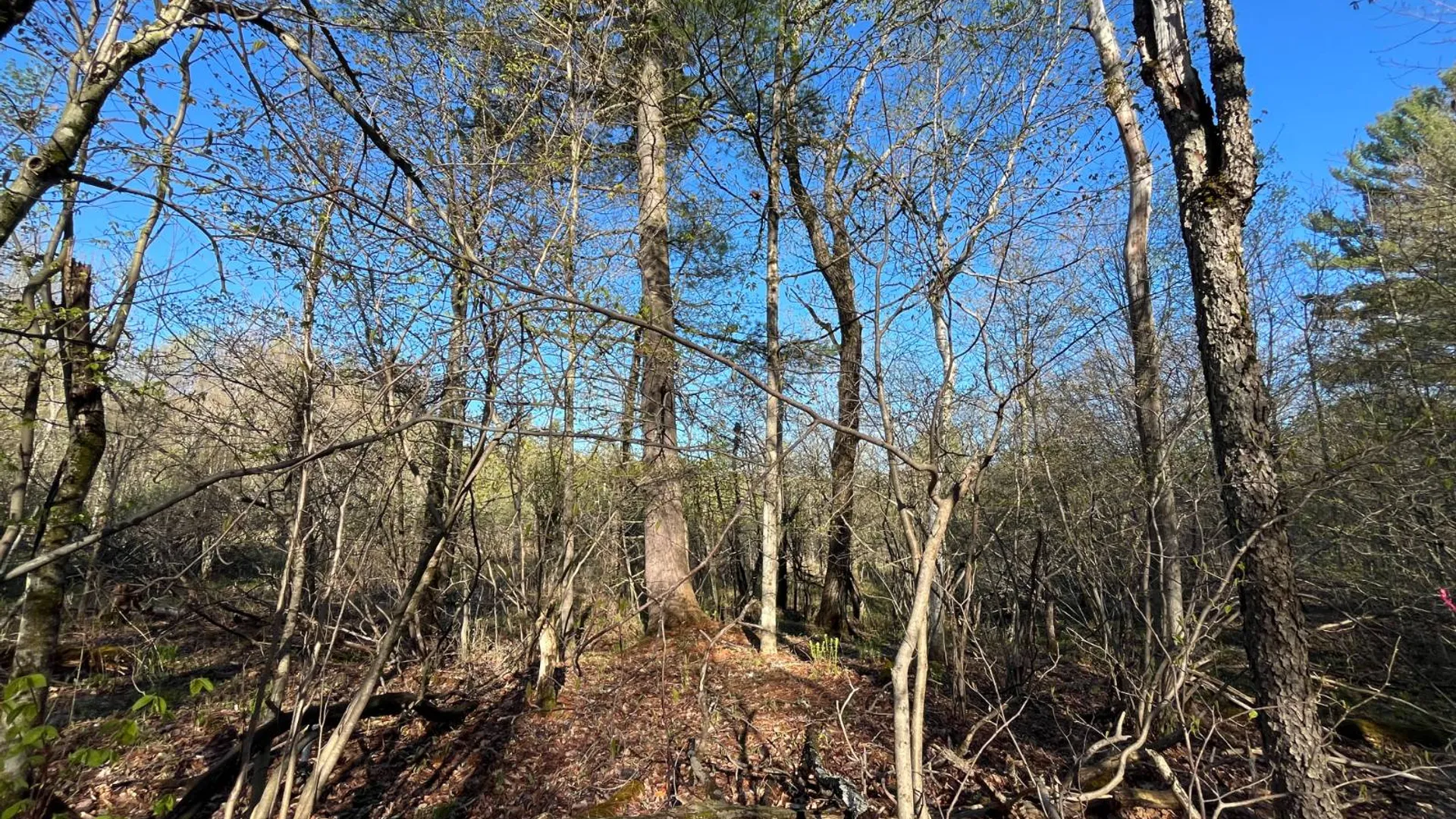 Property at 00 Lafaver Rd, Hermon, NY 13652 15