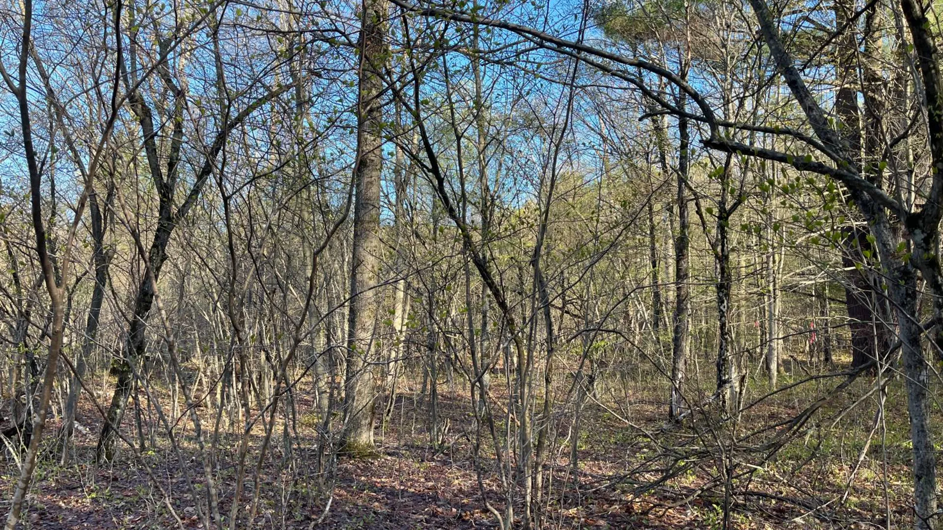Property at 00 Lafaver Rd, Hermon, NY 13652 16