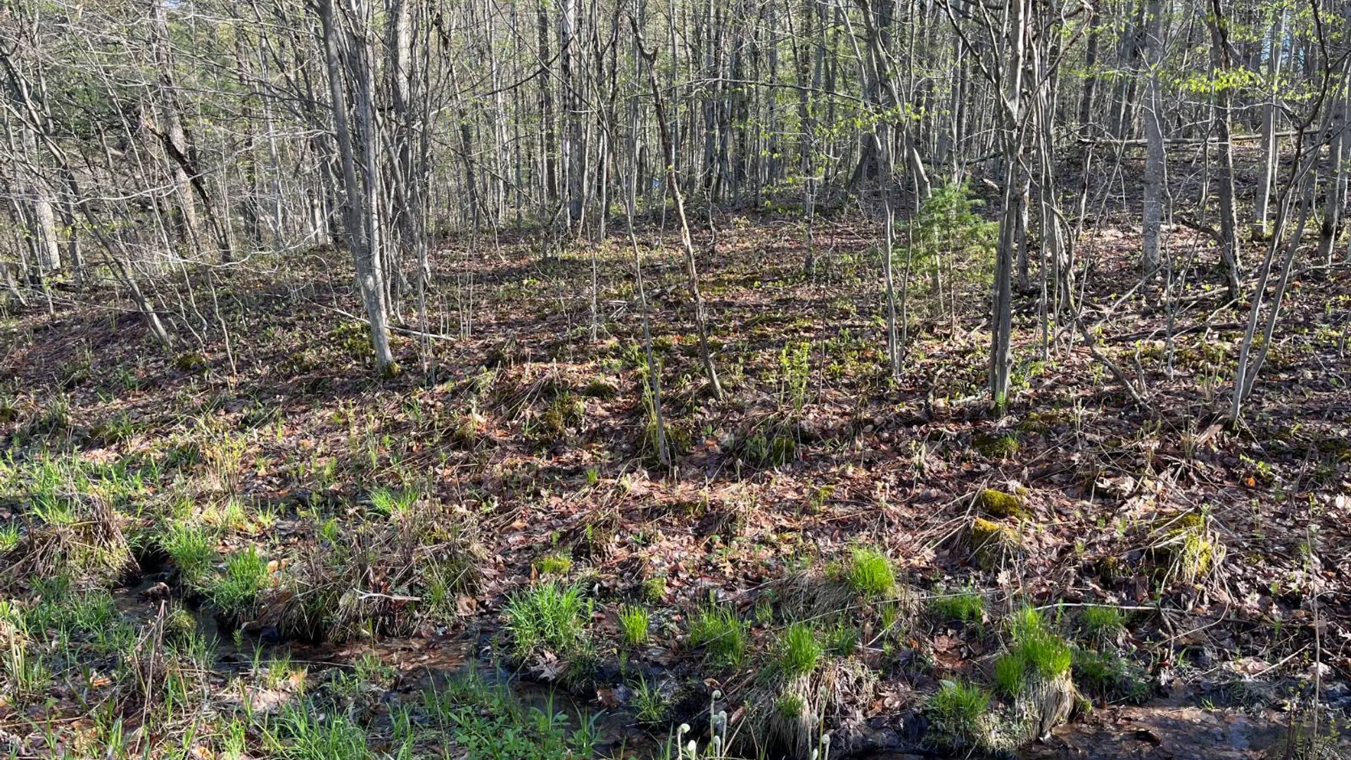 Property at 00 Lafaver Rd, Hermon, NY 13652 17