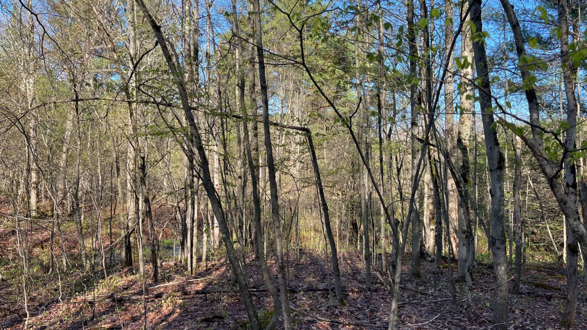 Property at 00 Lafaver Rd, Hermon, NY 13652 18