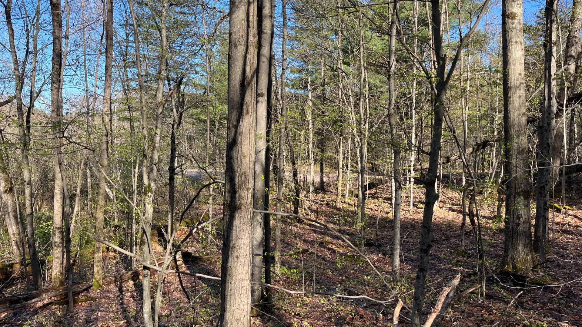 Property at 00 Lafaver Rd, Hermon, NY 13652 20