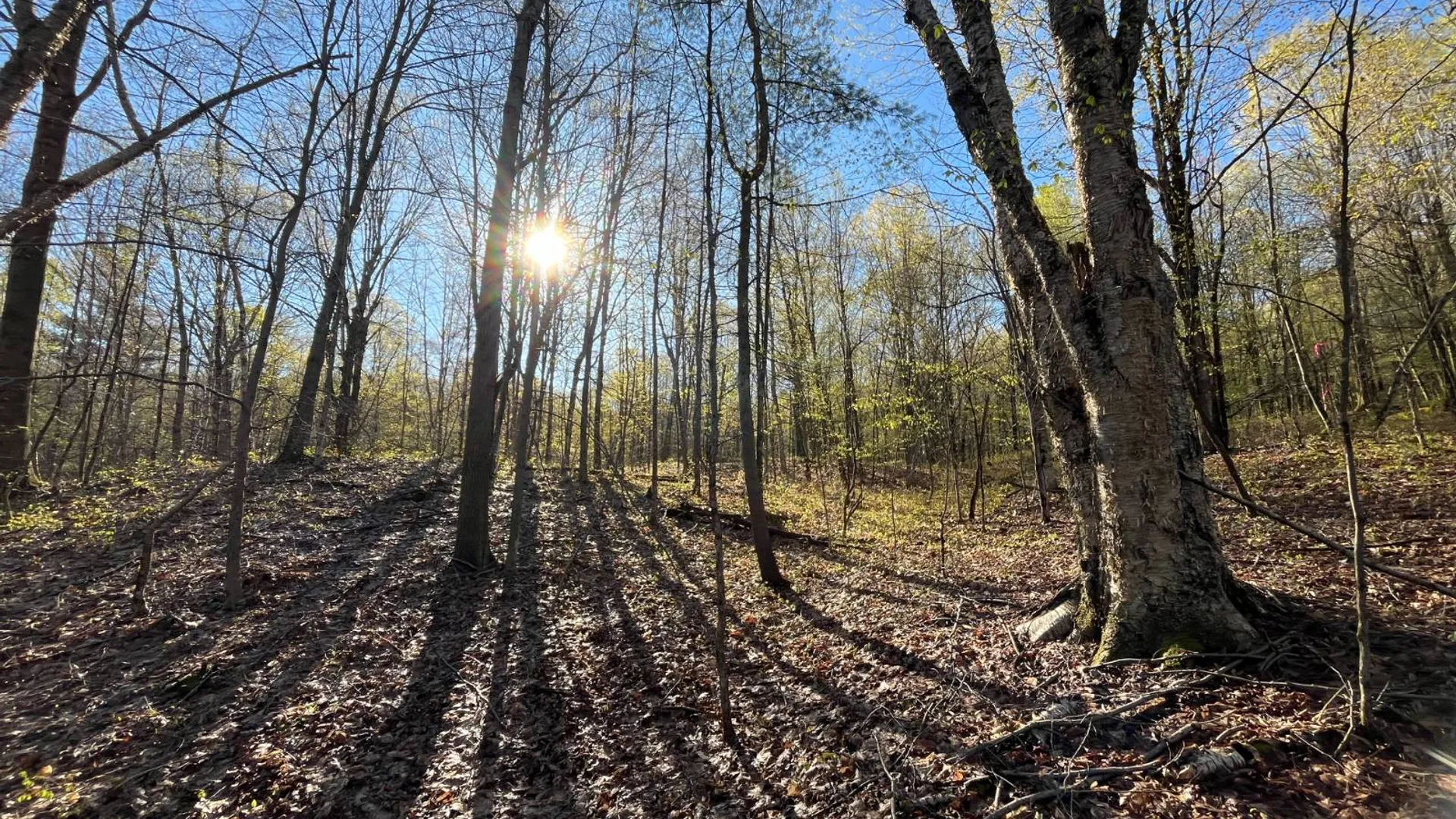 Property at 00 Lafaver Rd, Hermon, NY 13652 3