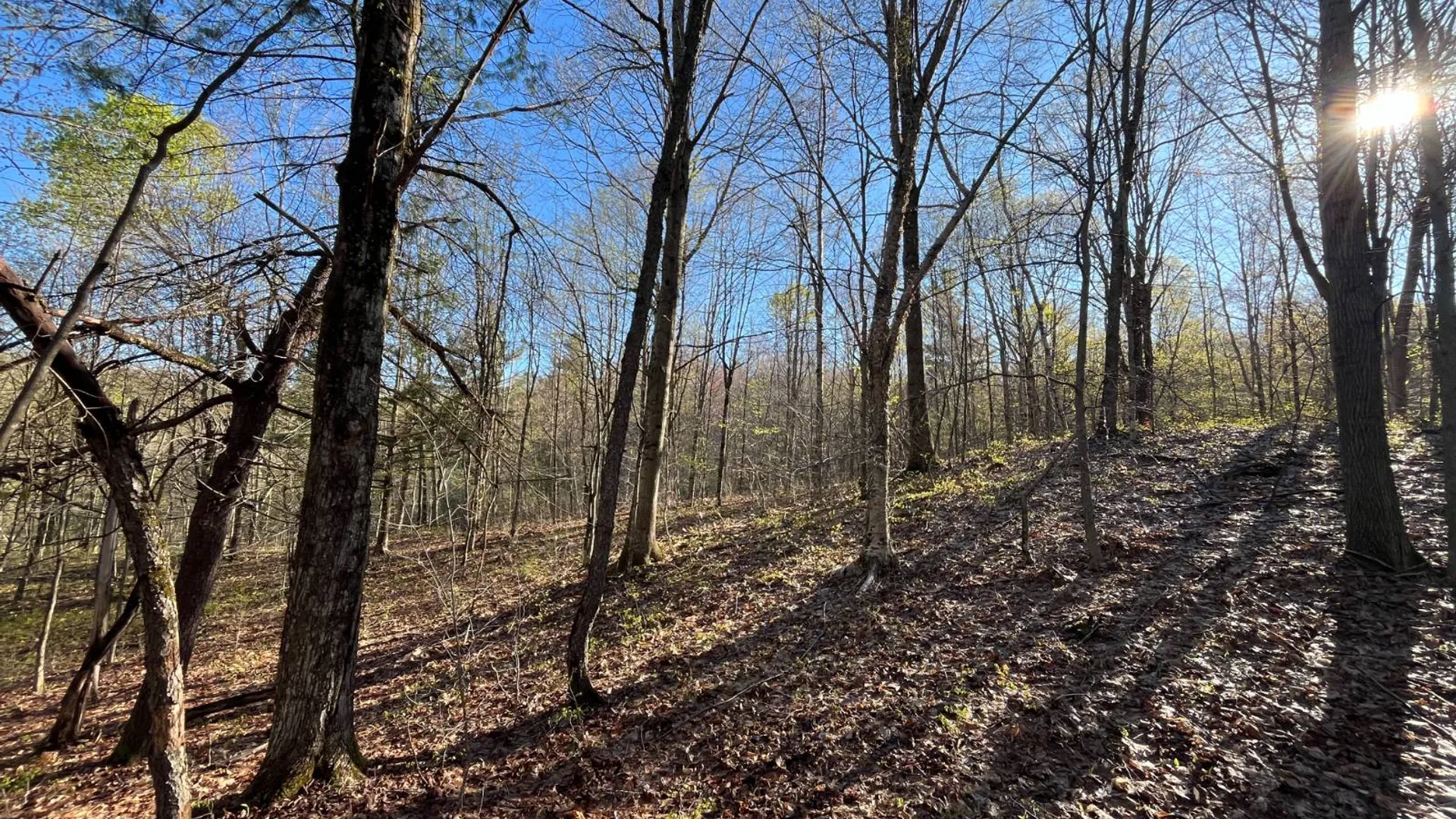 Property at 00 Lafaver Rd, Hermon, NY 13652 8