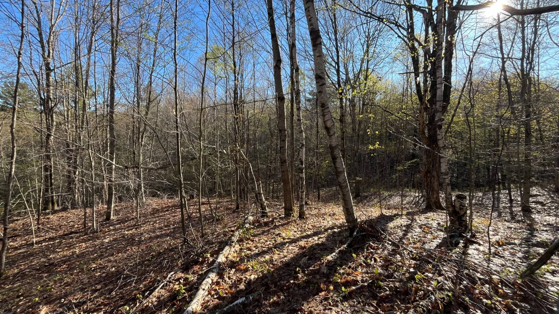 Property at 00 Lafaver Rd, Hermon, NY 13652 9