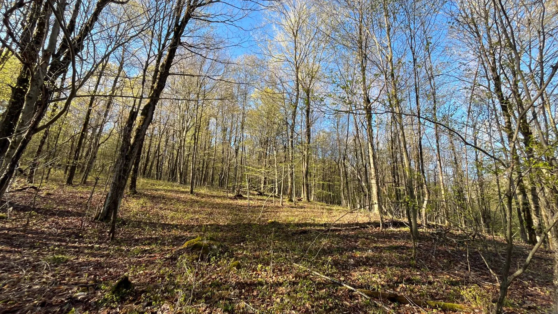Property at 00 Lafaver Rd, Hermon, NY 13652 11