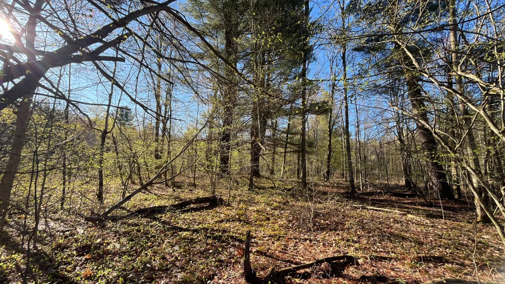 Property at 00 Lafaver Rd, Hermon, NY 13652 12