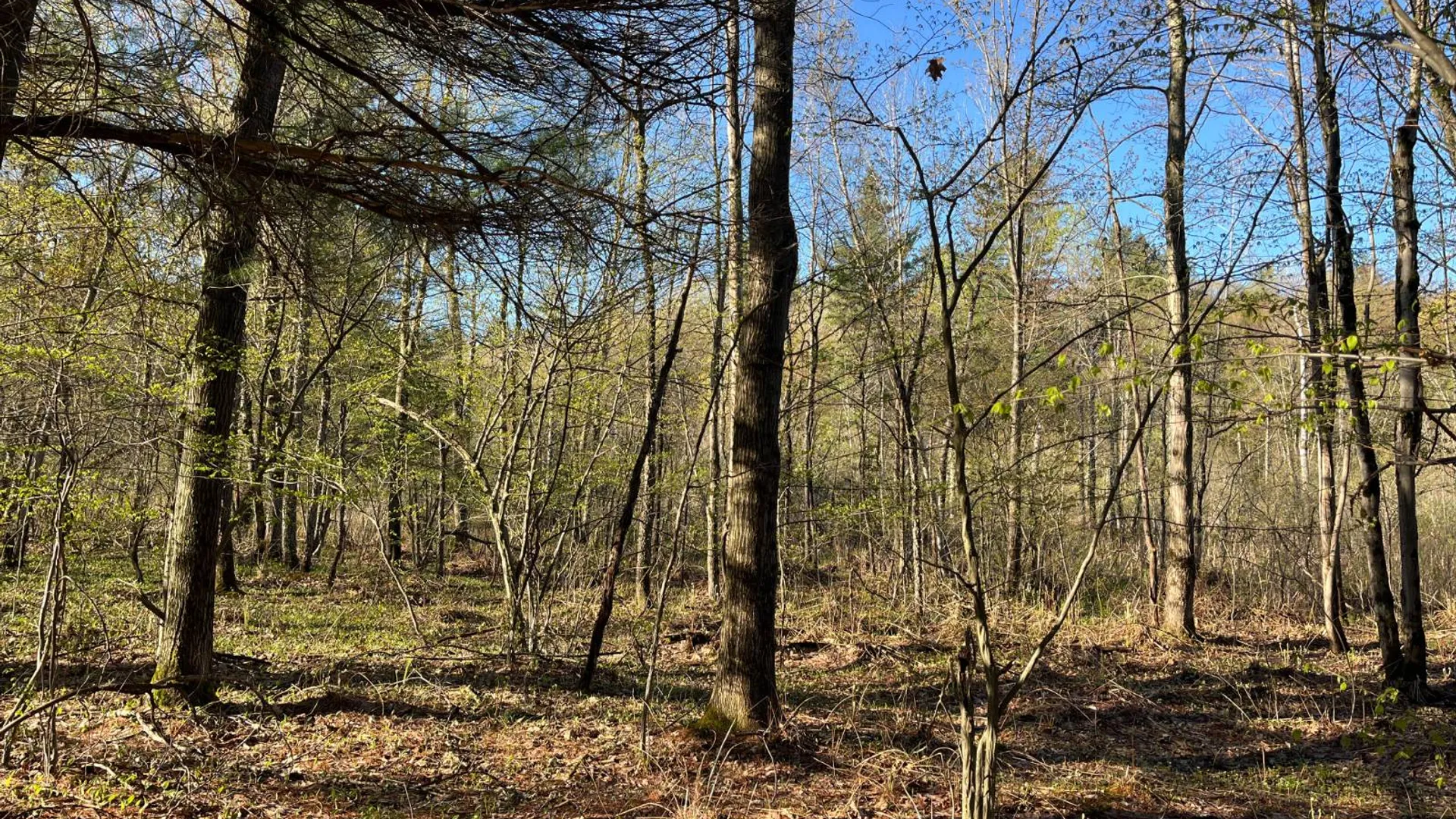 Property at 00 Lafaver Rd, Hermon, NY 13652 13